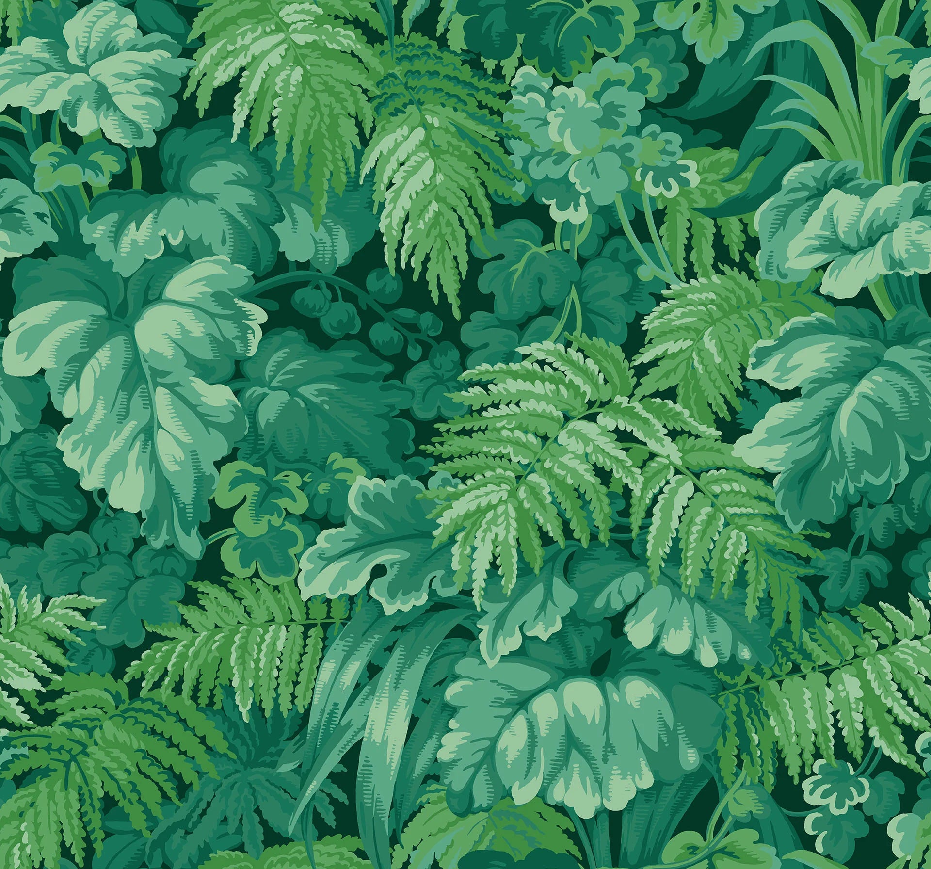 Cole & Son Martyn Lawrence Bullard, Royal Fernery, Forest Green