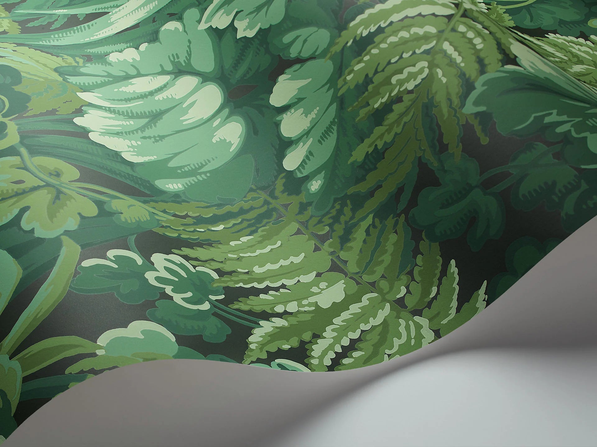 Cole & Son Martyn Lawrence Bullard, Royal Fernery, Forest Green