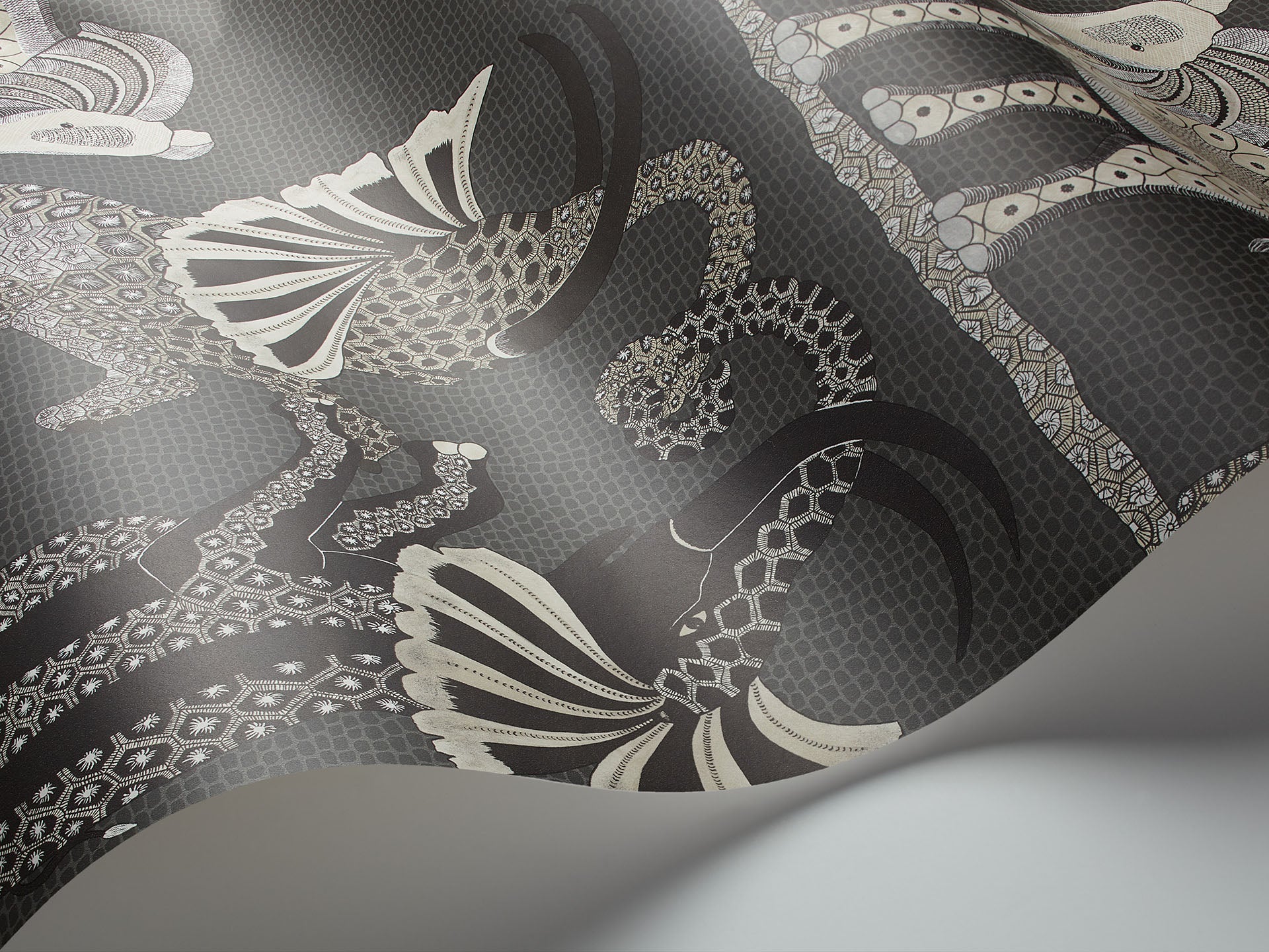 Cole & Son Ardmore Safari dance, Stone & Black on Charcoal