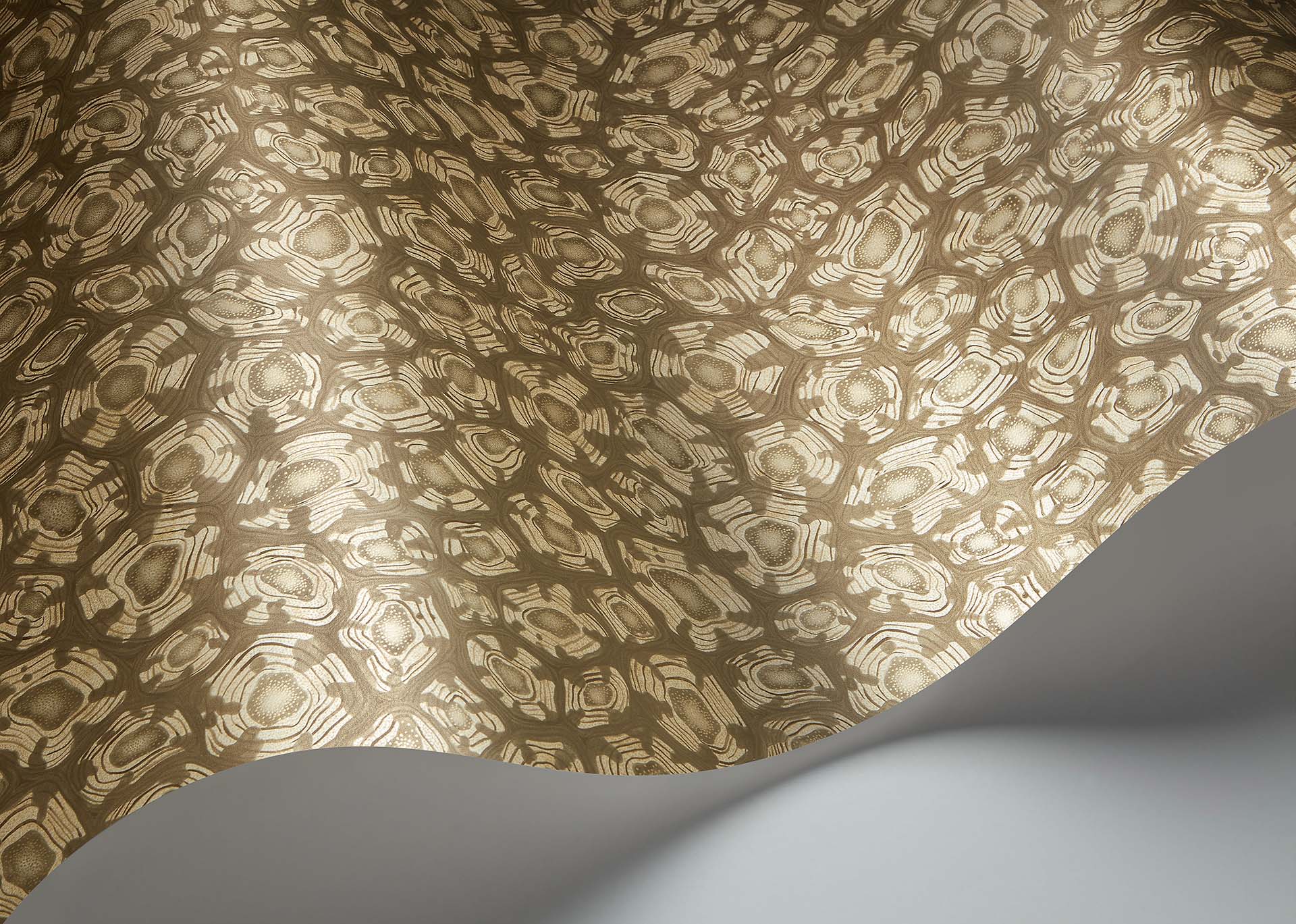 Cole & Son Jabula Savanna Shell, Metallic Silver, Cedar & Metallic Gold
