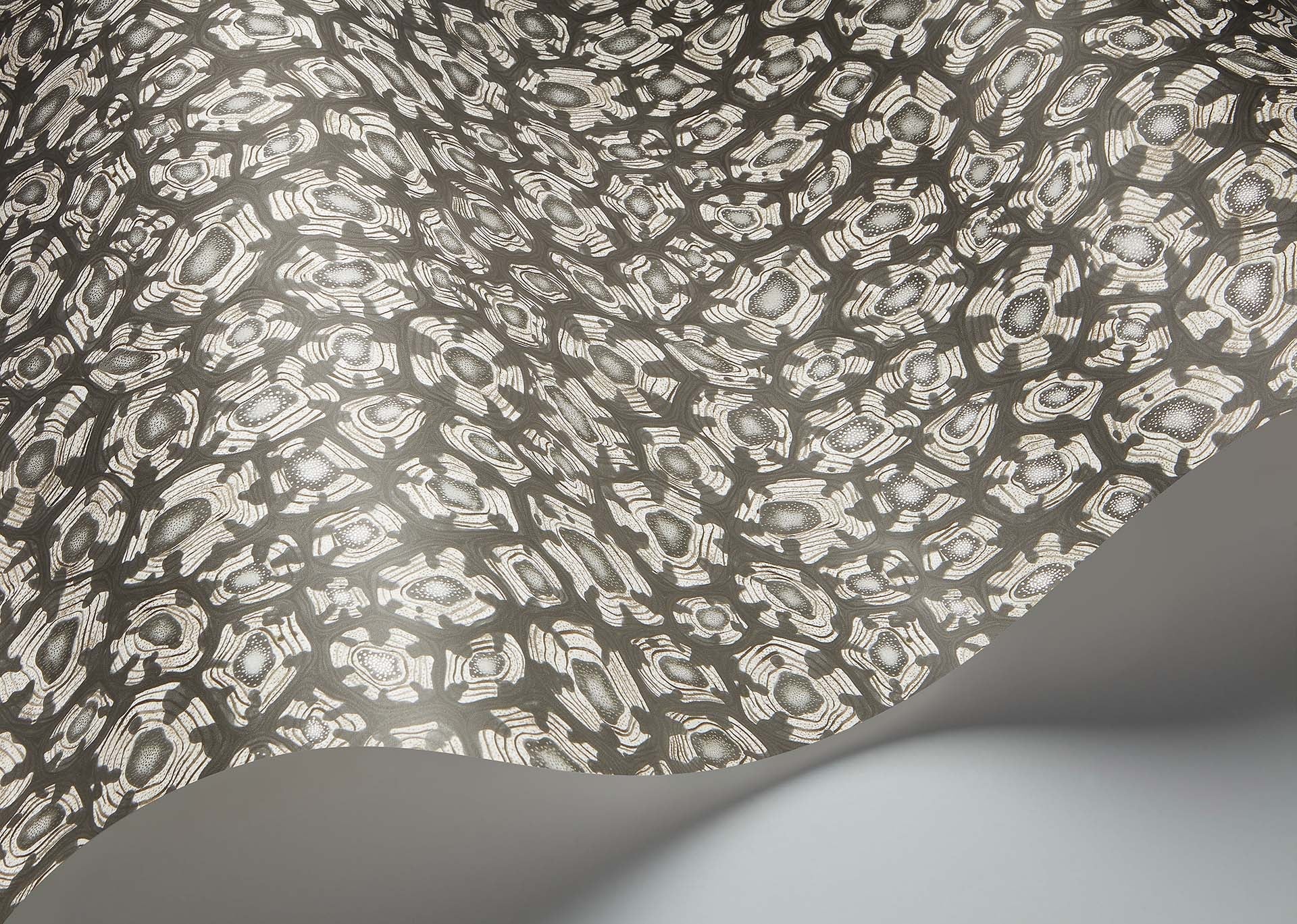 Cole & Son Jabula Savanna Shell, Soot & Snow & Metallic Silver