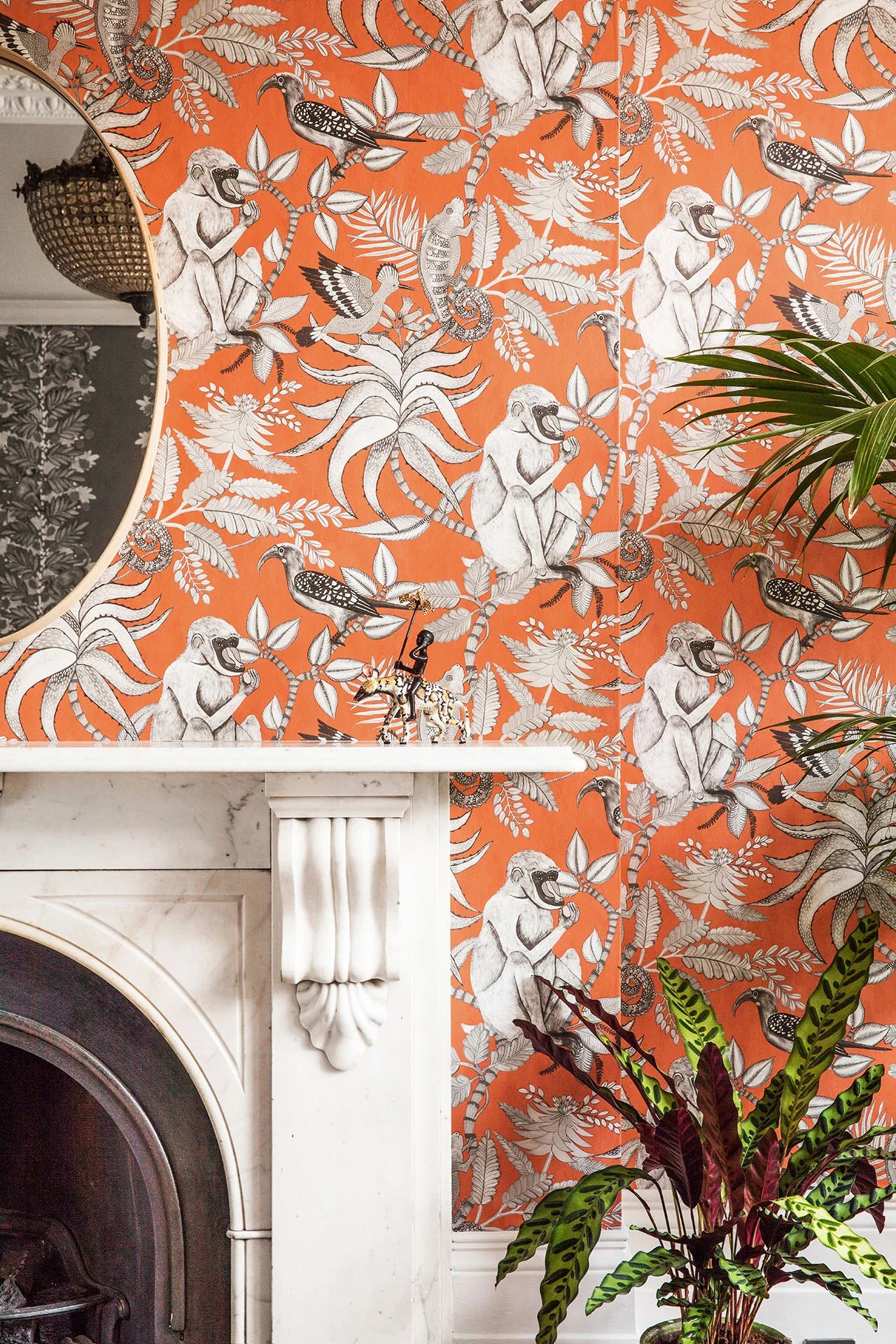 Cole & Son Ardmore Savuti, Soot on Tangerine