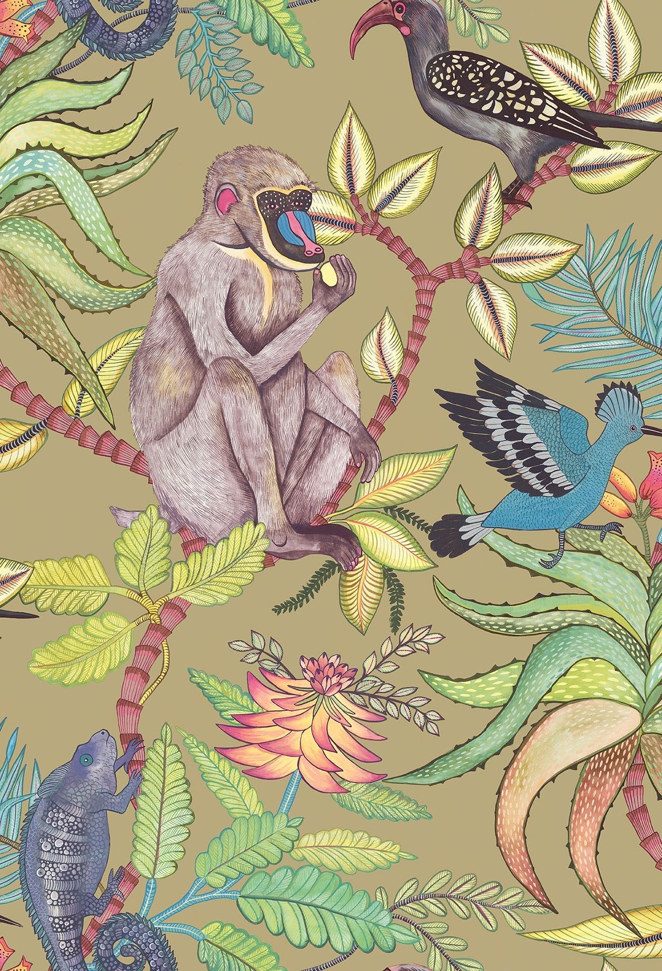 Cole & Son Ardmore Savuti, Bright Multi on Old Olive