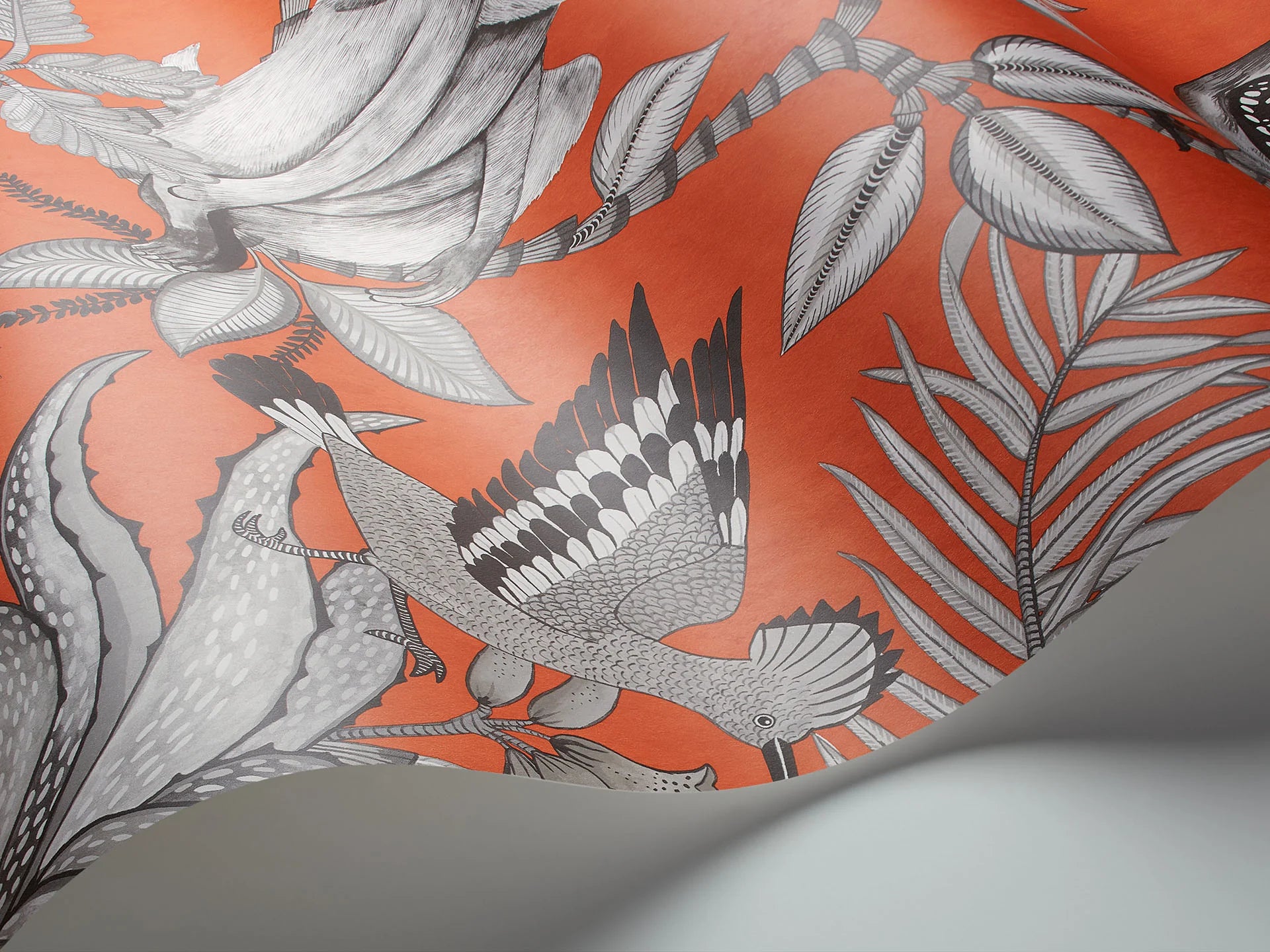 Cole & Son Ardmore Savuti, Soot on Tangerine