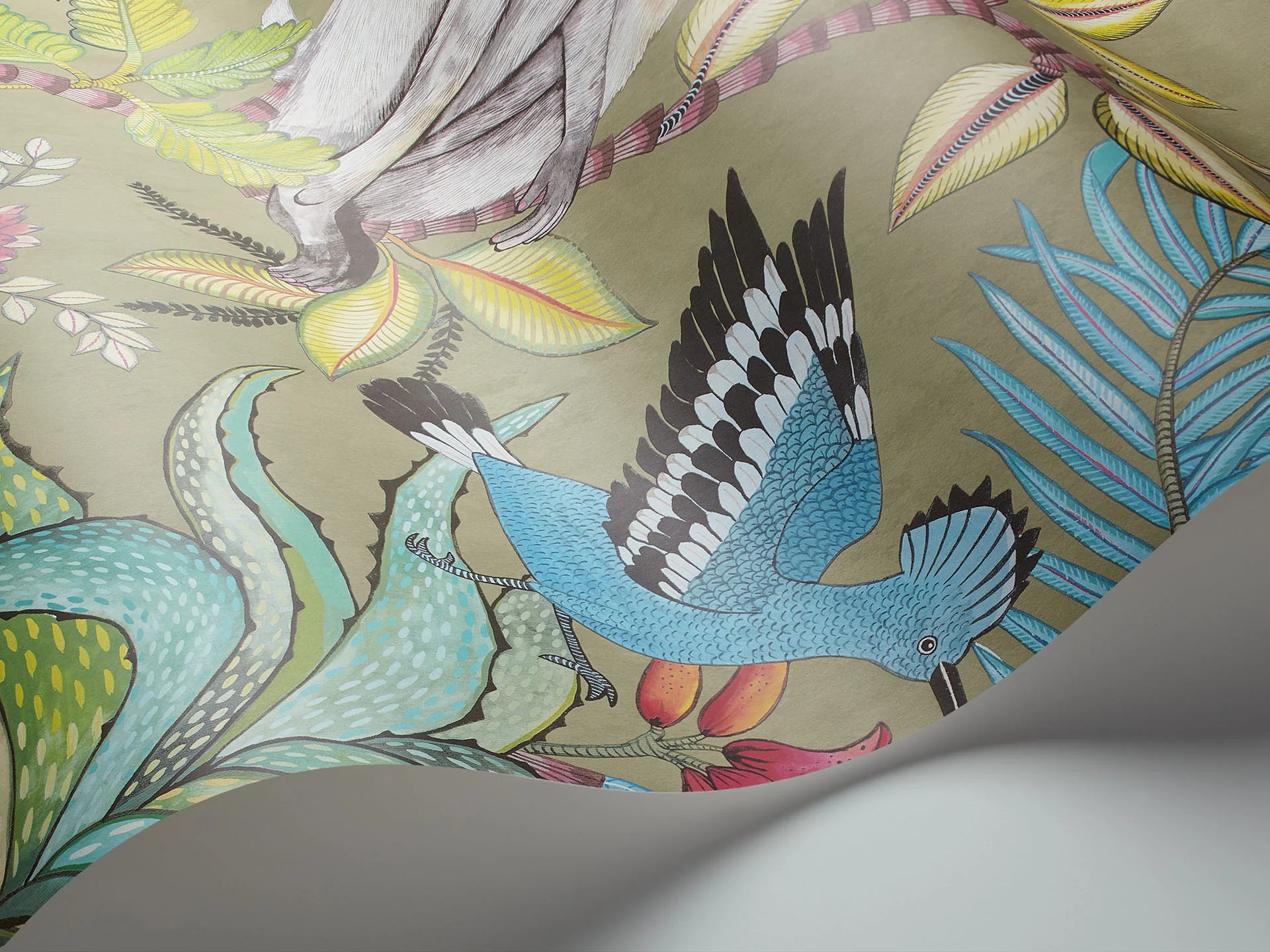 Cole & Son Ardmore Savuti, Bright Multi on Old Olive
