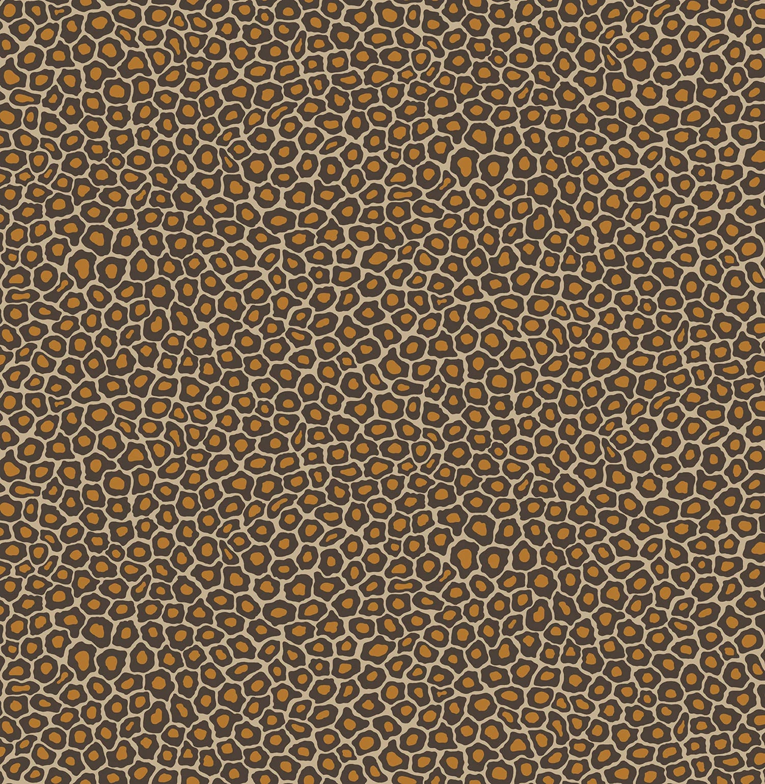 Cole & Son Ardmore Senzo Spot, Soot & Metallic Gold on Cream