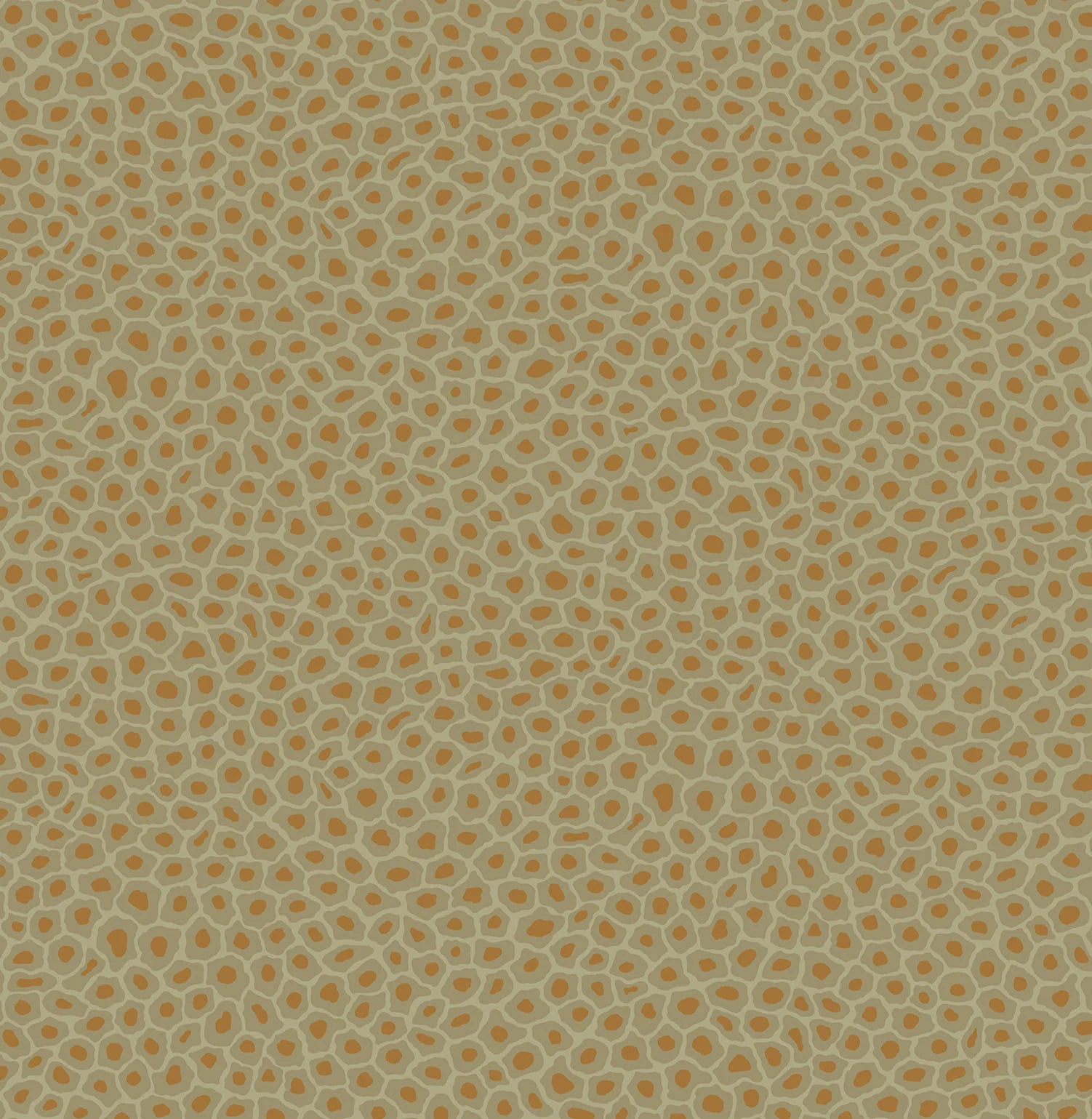 Cole & Son Ardmore Senzo Spot, Old Olive & Metallic Bronze