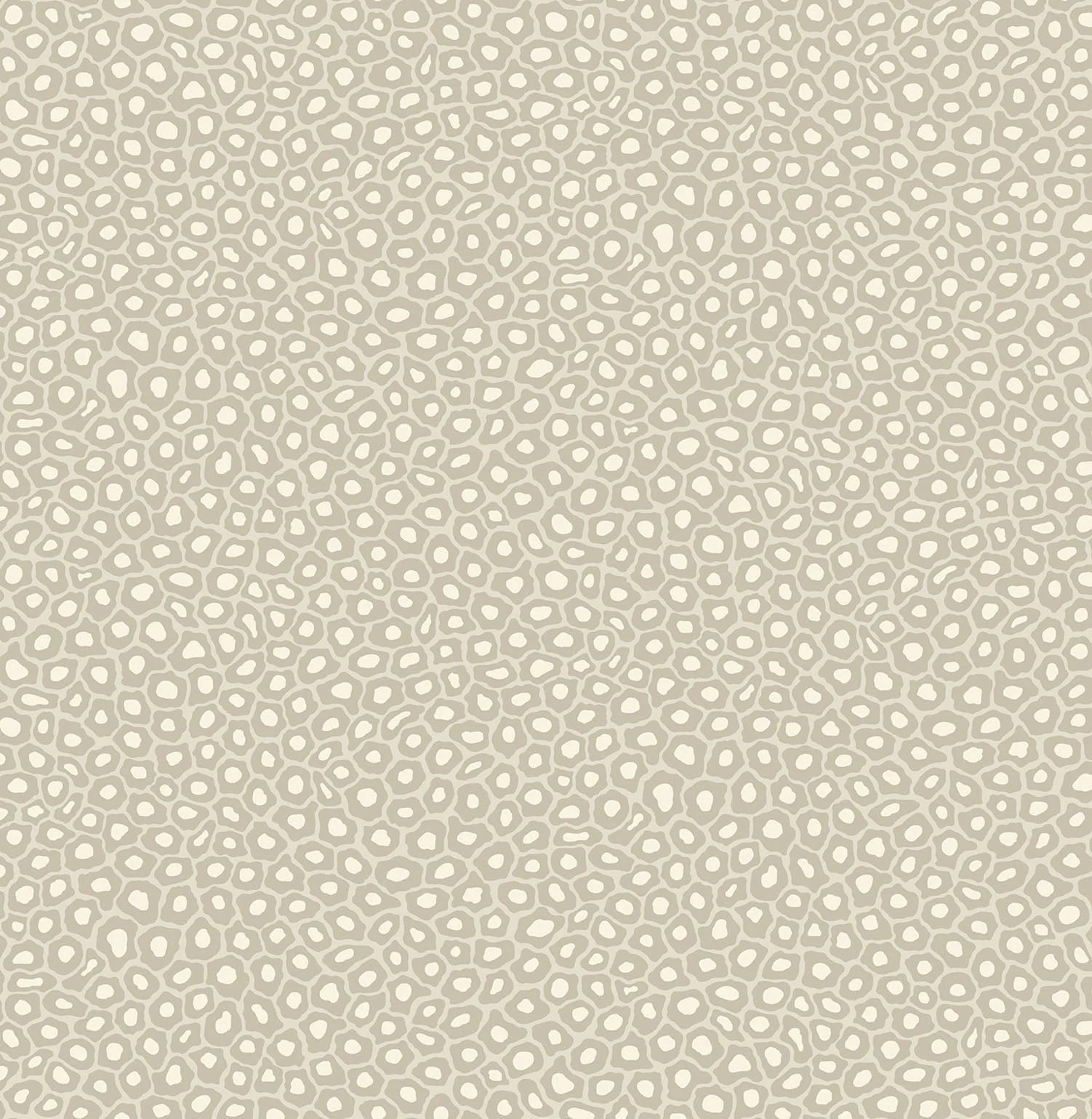 Cole & Son Ardmore Senzo Spot, Stone & Chalk