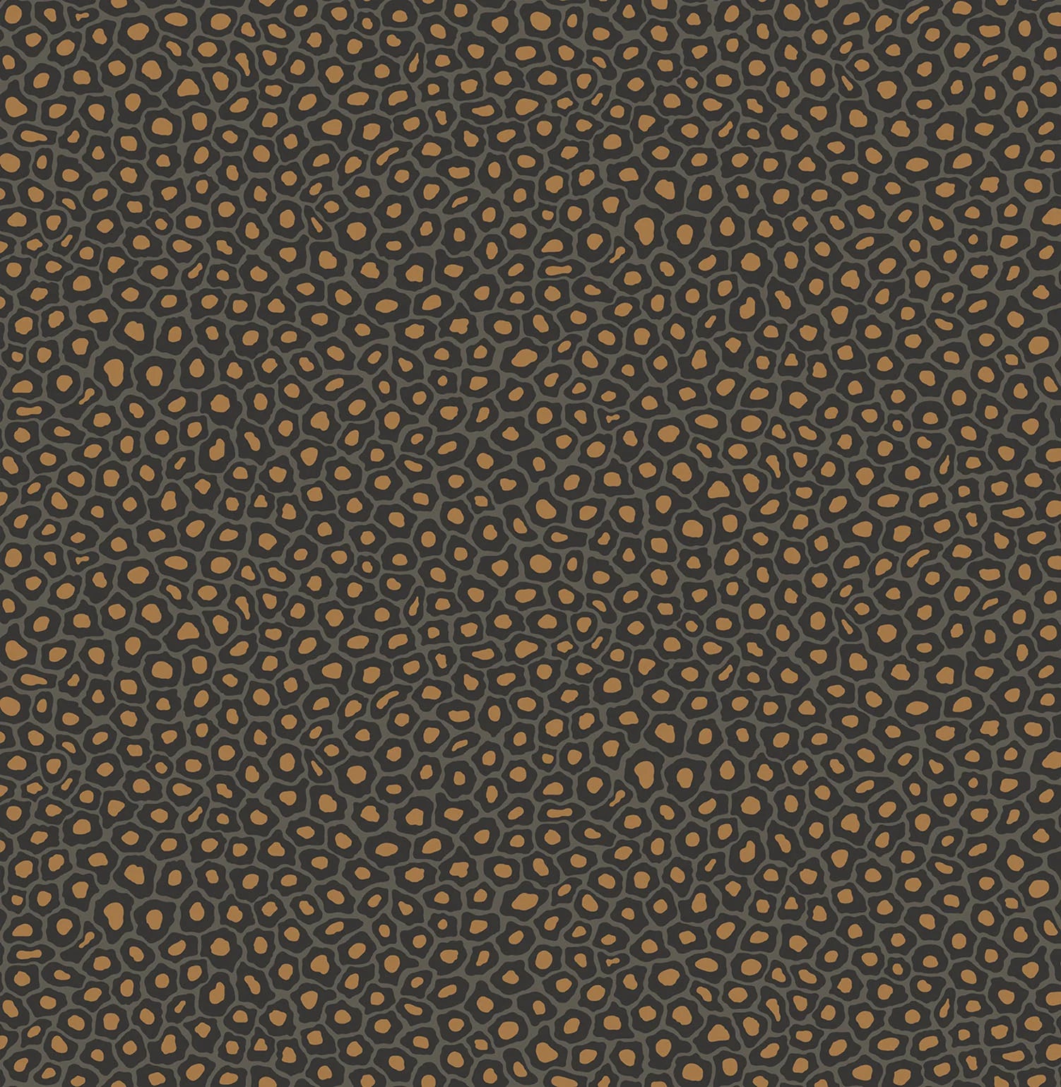 Cole & Son Ardmore Senzo Spot, Charcoal & Metallic Gold