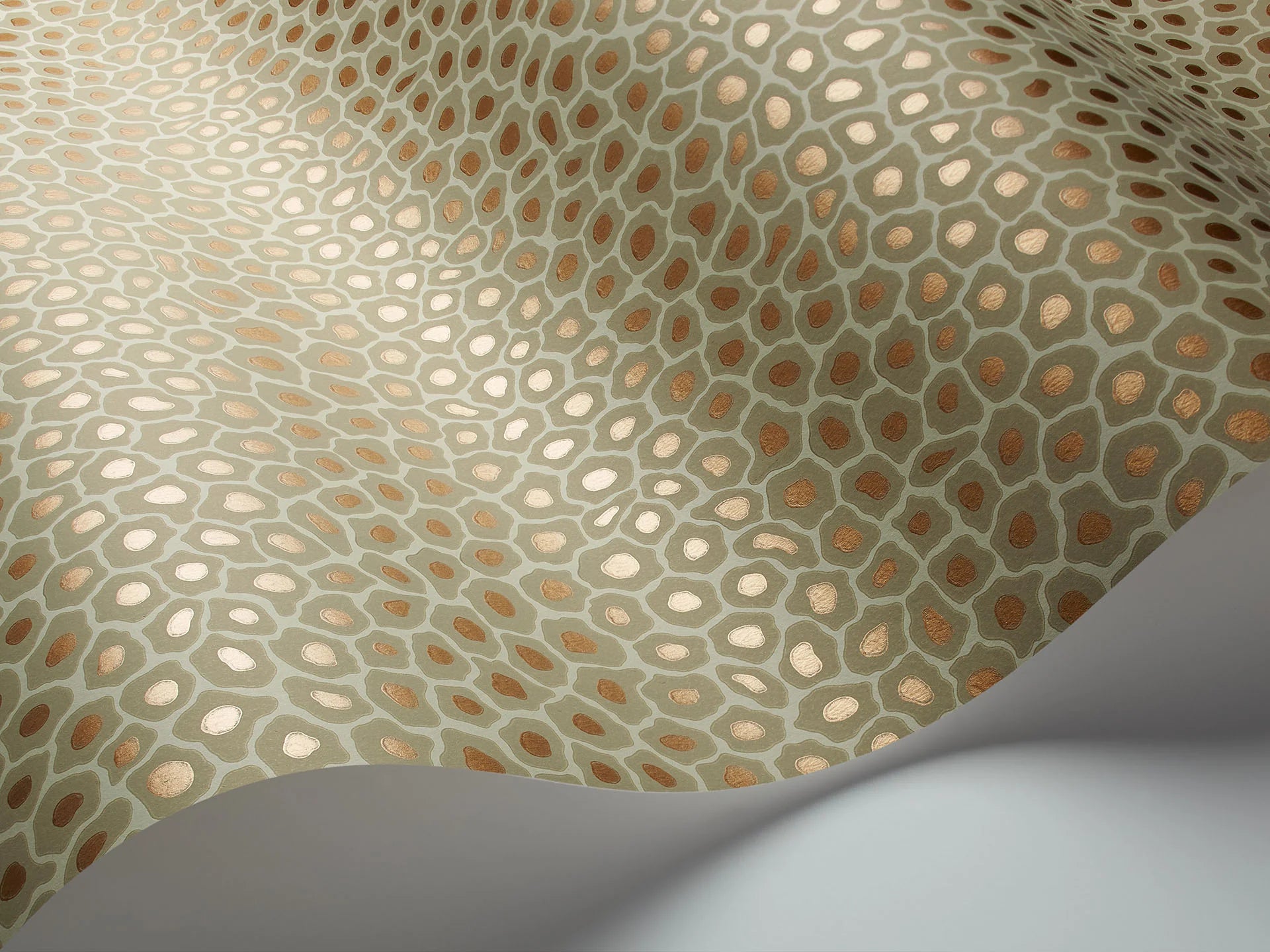 Cole & Son Ardmore Senzo Spot, Old Olive & Metallic Bronze