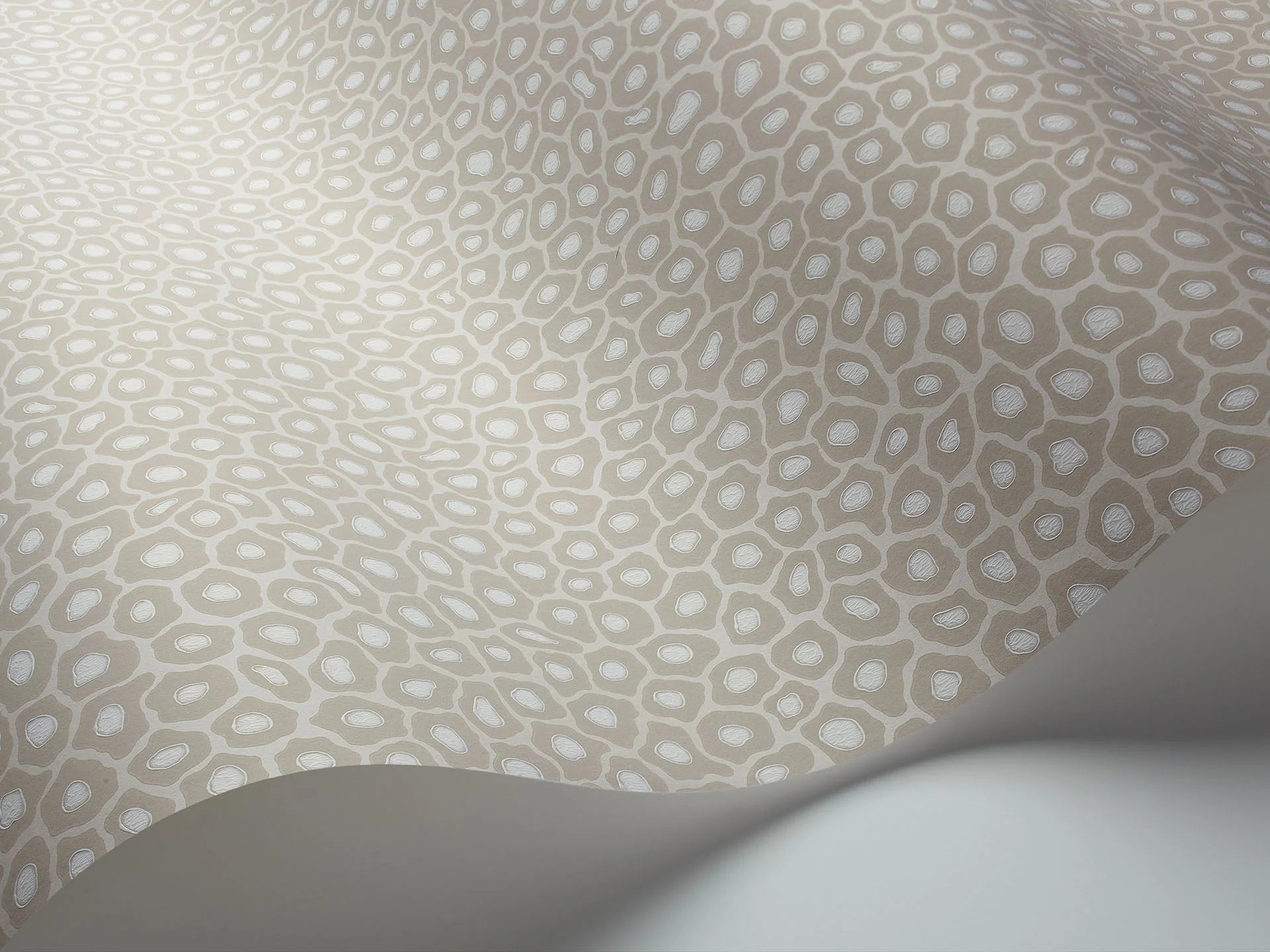 Cole & Son Ardmore Senzo Spot, Stone & Chalk