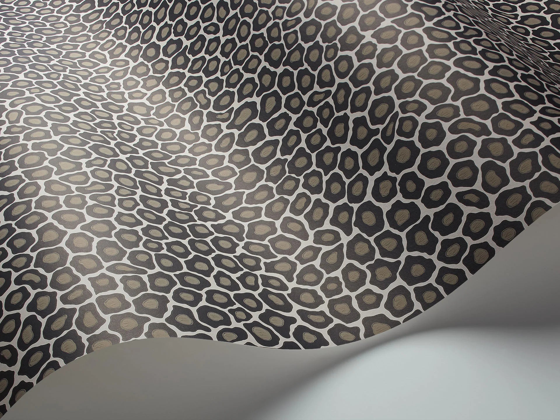 Cole & Son Ardmore Senzo Spot, Soot & Snow