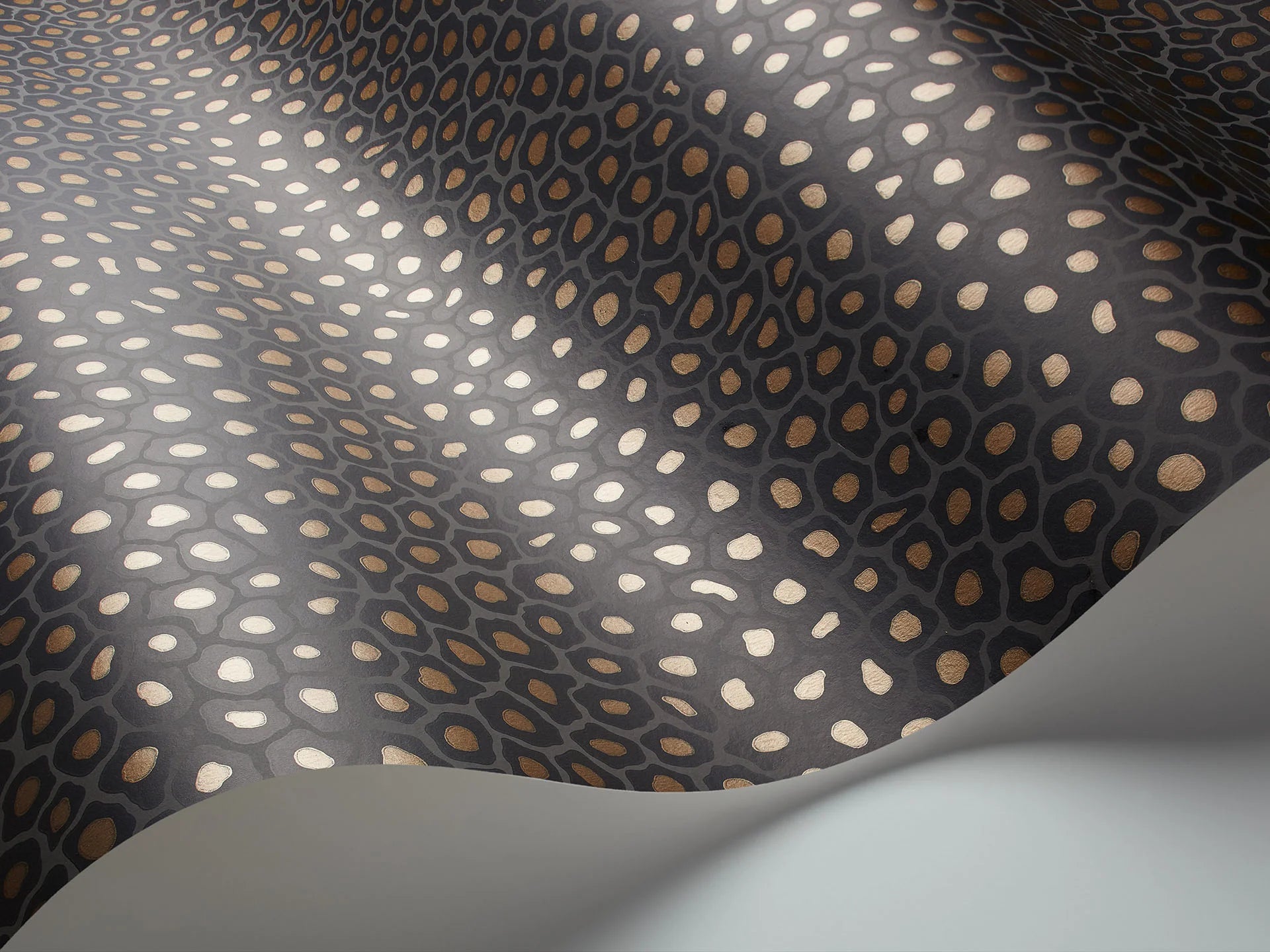 Cole & Son Ardmore Senzo Spot, Charcoal & Metallic Gold