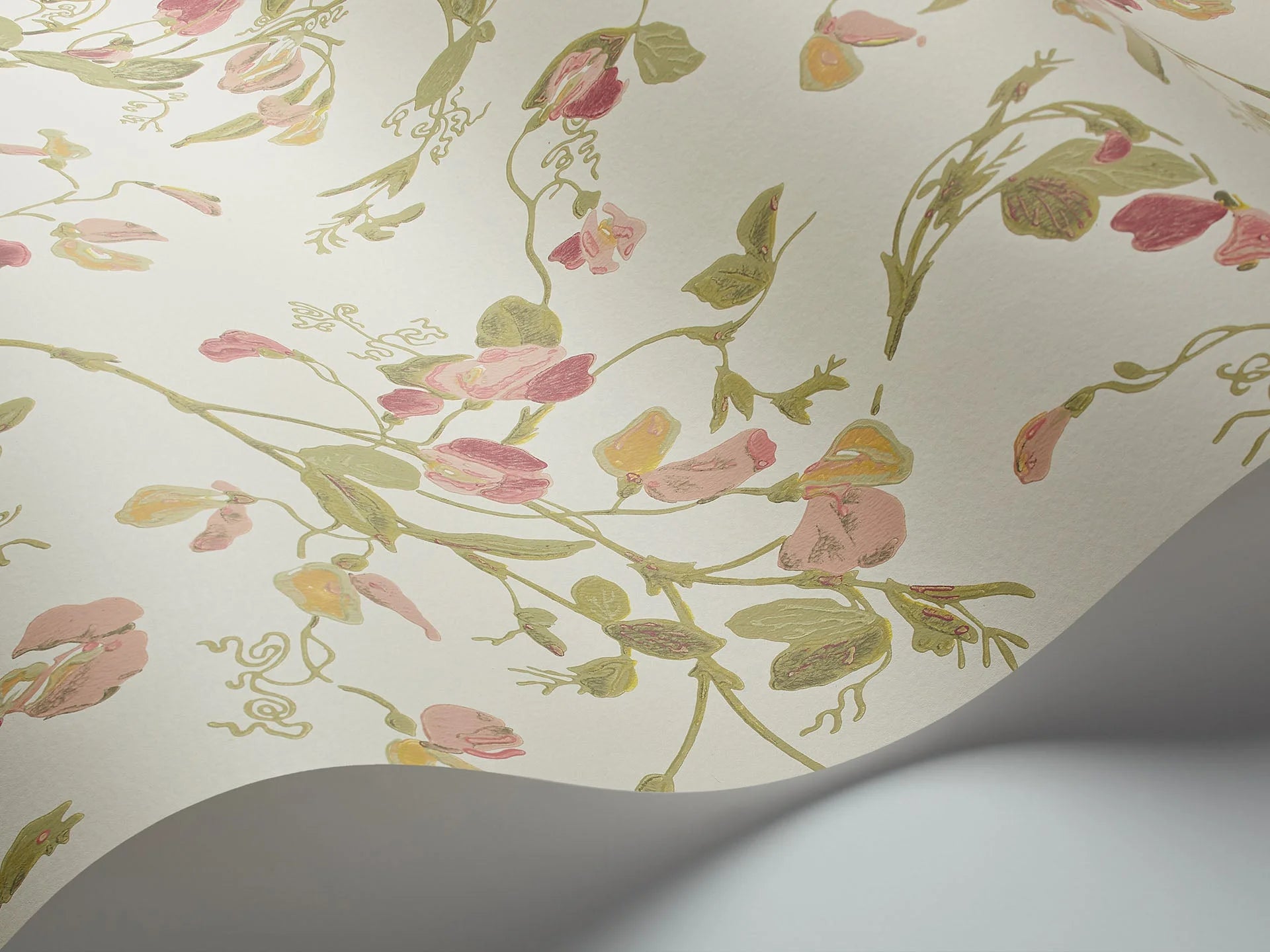 Cole & Son Botanical - Botanica , Sweet Pea Archive Anthology Coral & Olive on Cream