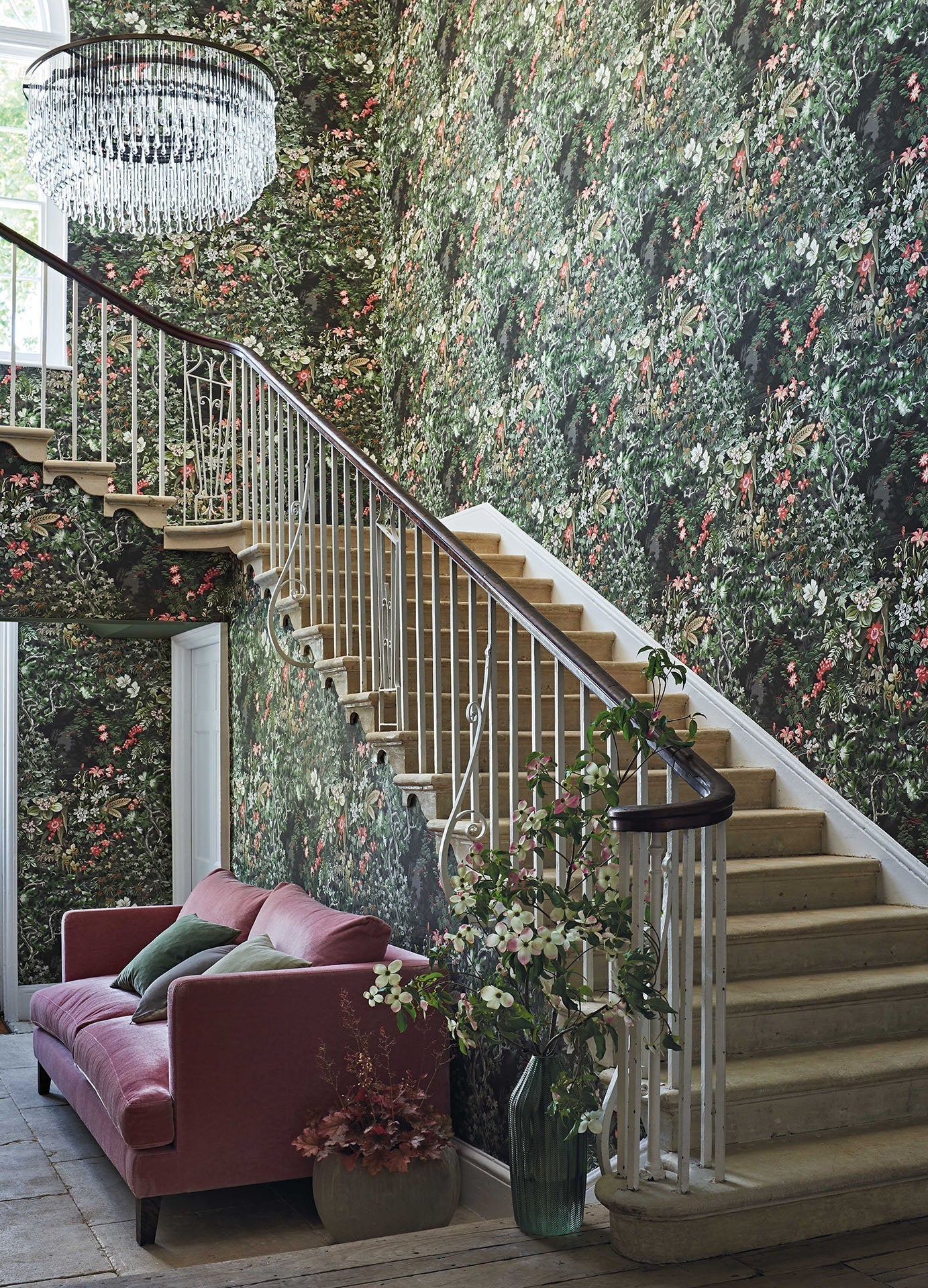 Cole & Son Botanical - Botanica, Woodland, Coral & Olive on Soot