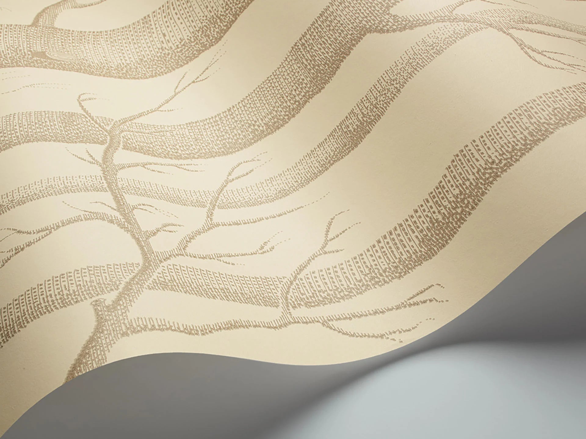 Cole & Son Contemporary Collection, Woods, Linnen op crème