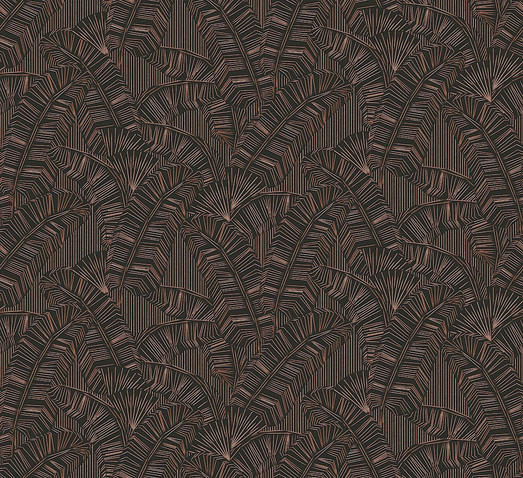 Masureel Amani Solana, Chocolate