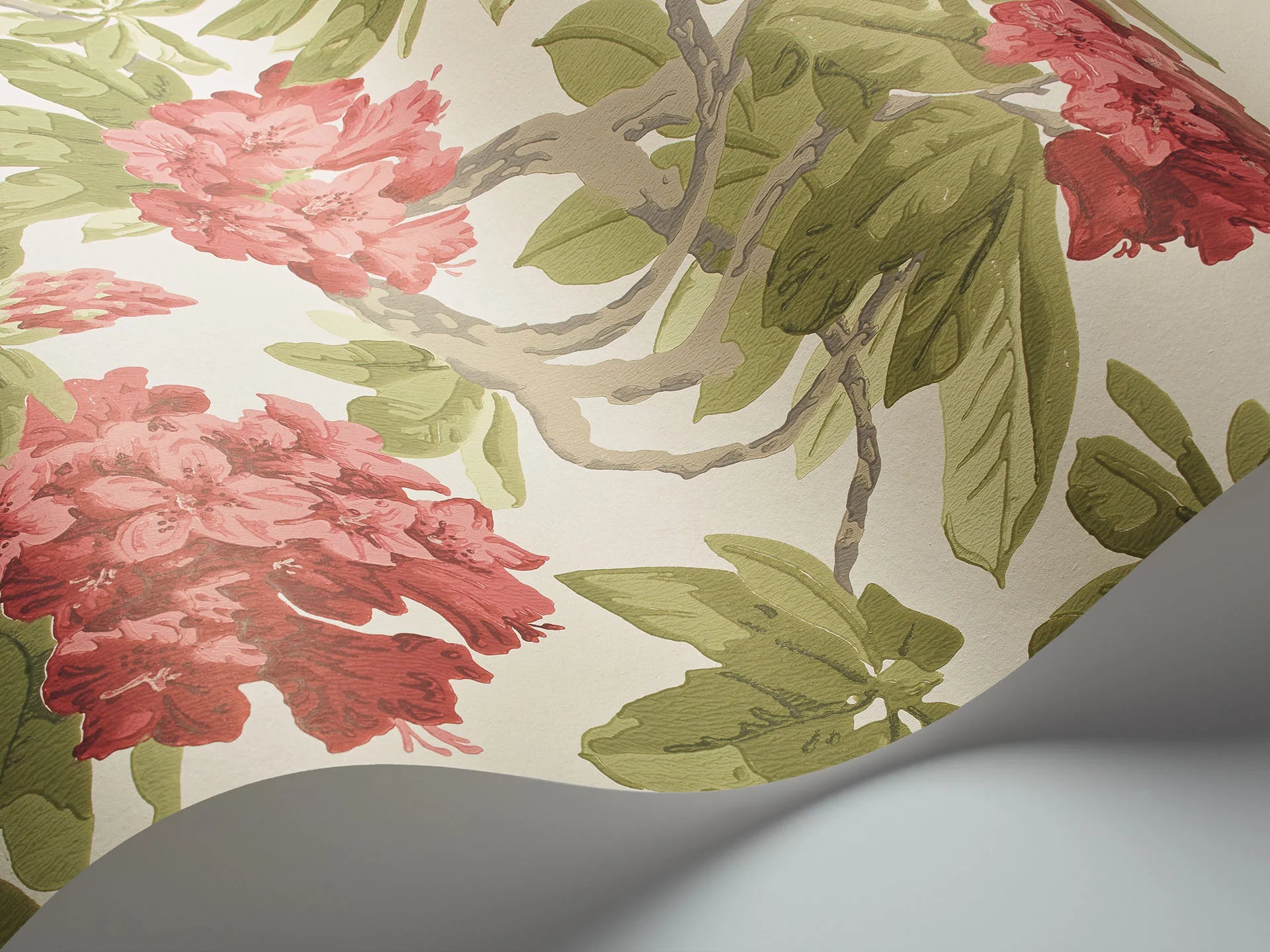 Cole & Son Folie Bourlie, Rose, Olive on White