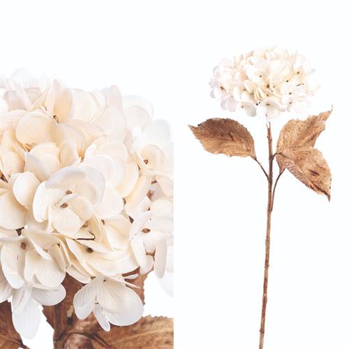 Siertak witte Hortensia L71xB27cm