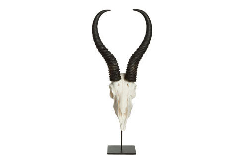 Puylaert springbok on stand