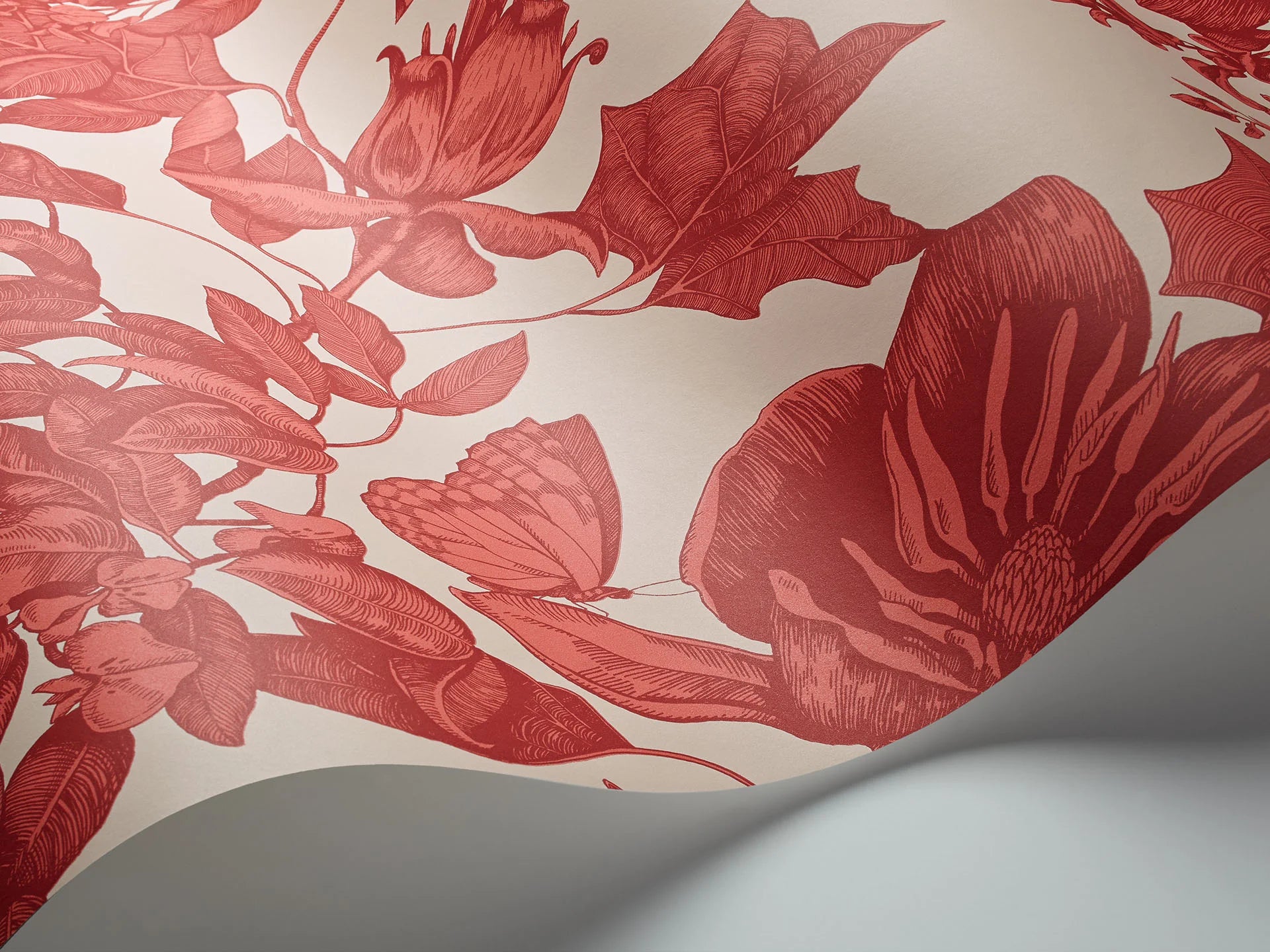 Cole & Son Folie Tivoli, Red on Cream