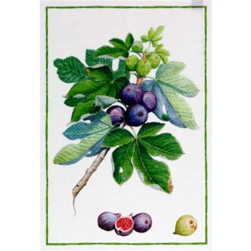 Theedoek Demetra Vijgen Creme 50x70