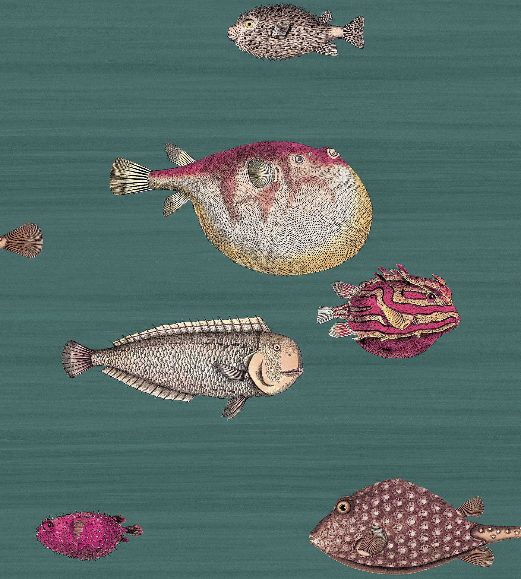 Cole & Son Fornasetti Acquario, Dark Viridian