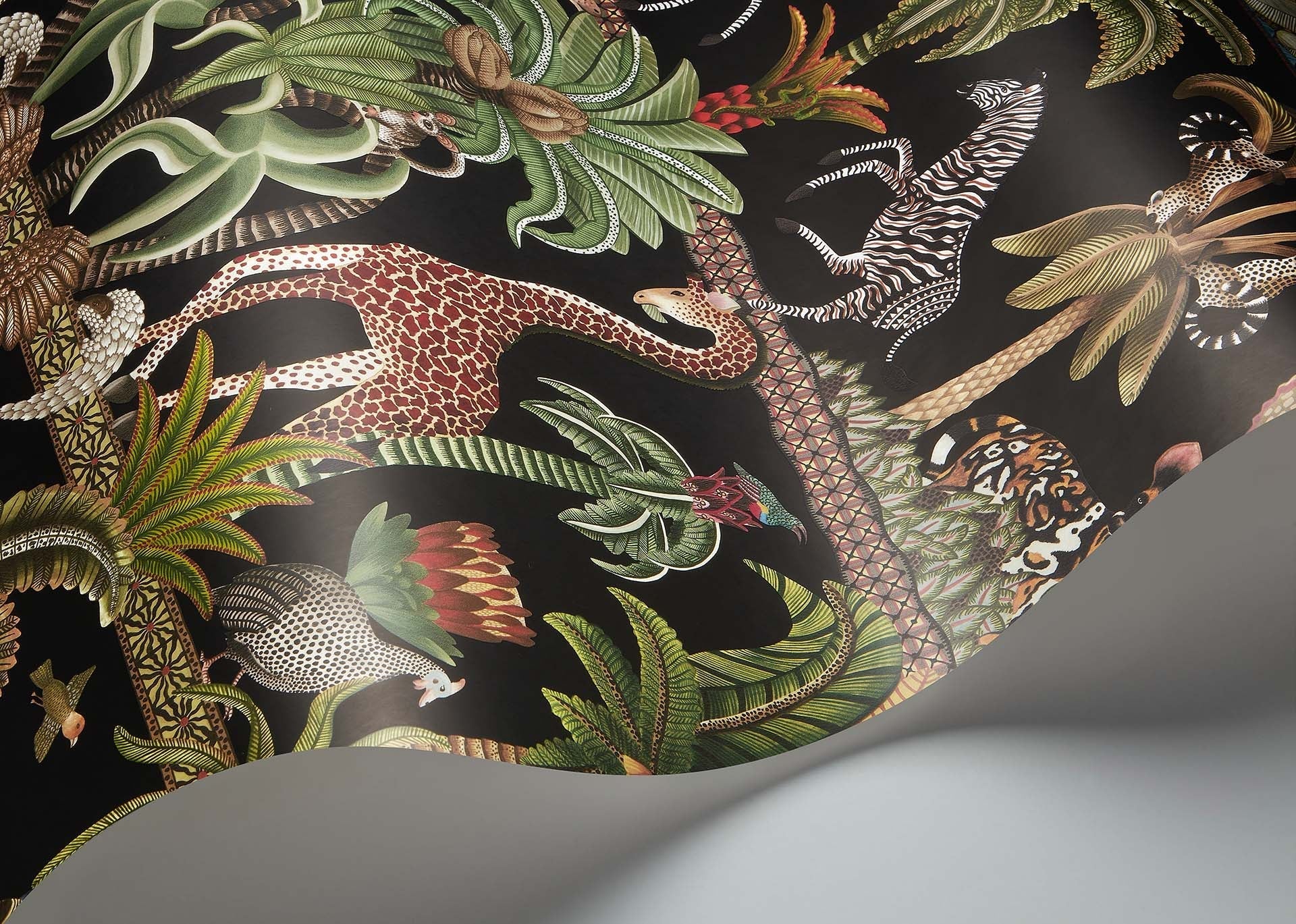 Cole & Son Ardmore Jabula.  Afrika Kingdom Olive Green & Spring Green on Black