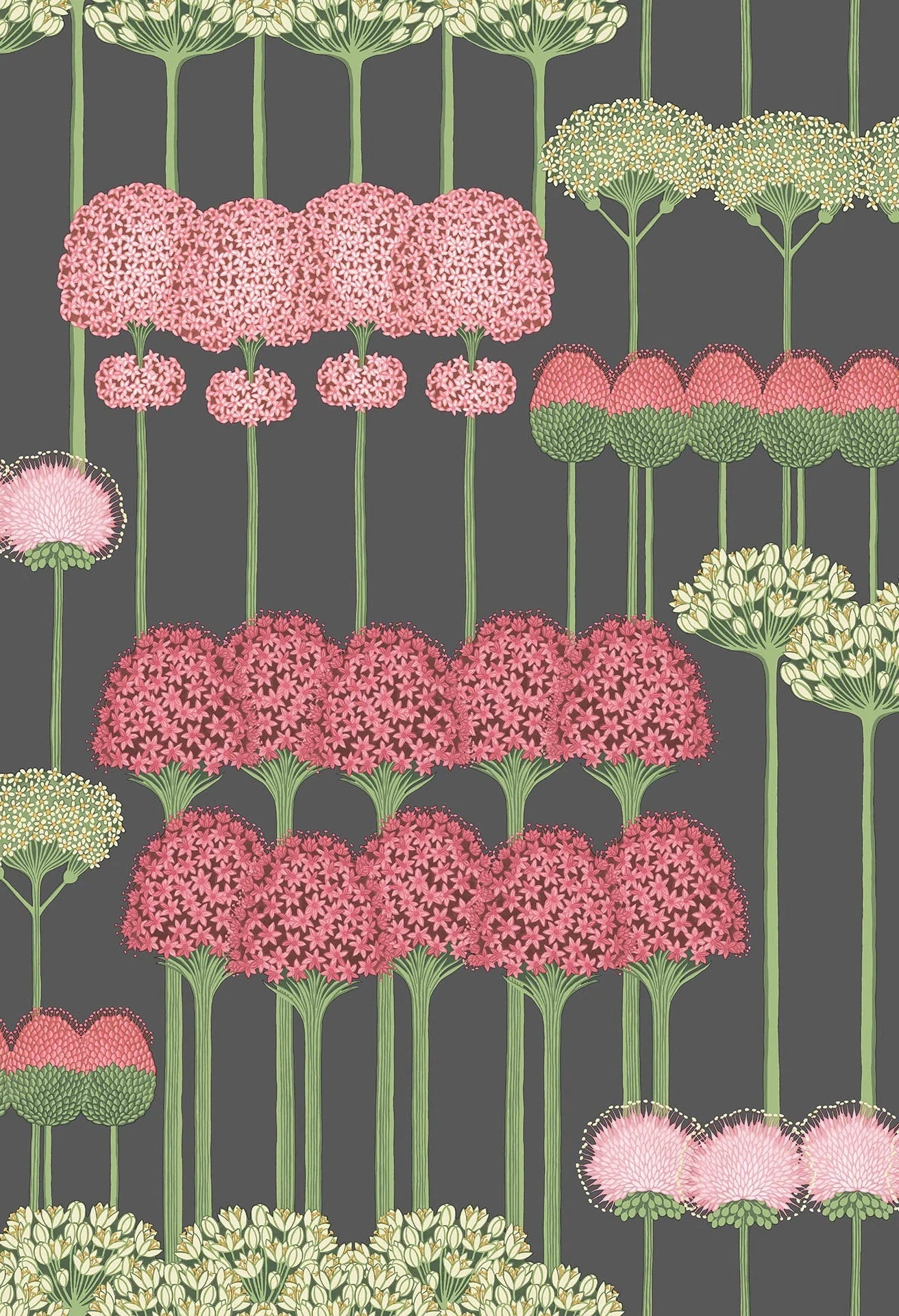 Cole & Son Botanical - Botanica, Allium ,Coral & Leaf Green on Charcoal