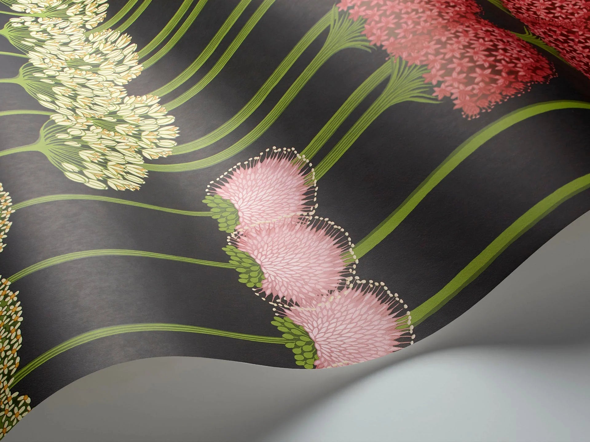 Cole & Son Botanical - Botanica, Allium ,Coral & Leaf Green on Charcoal