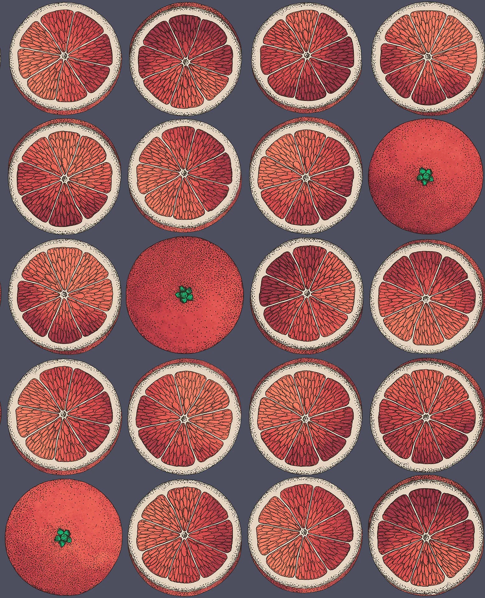 Cole & Son Fornasetti Arance, Blood Orange & Ink