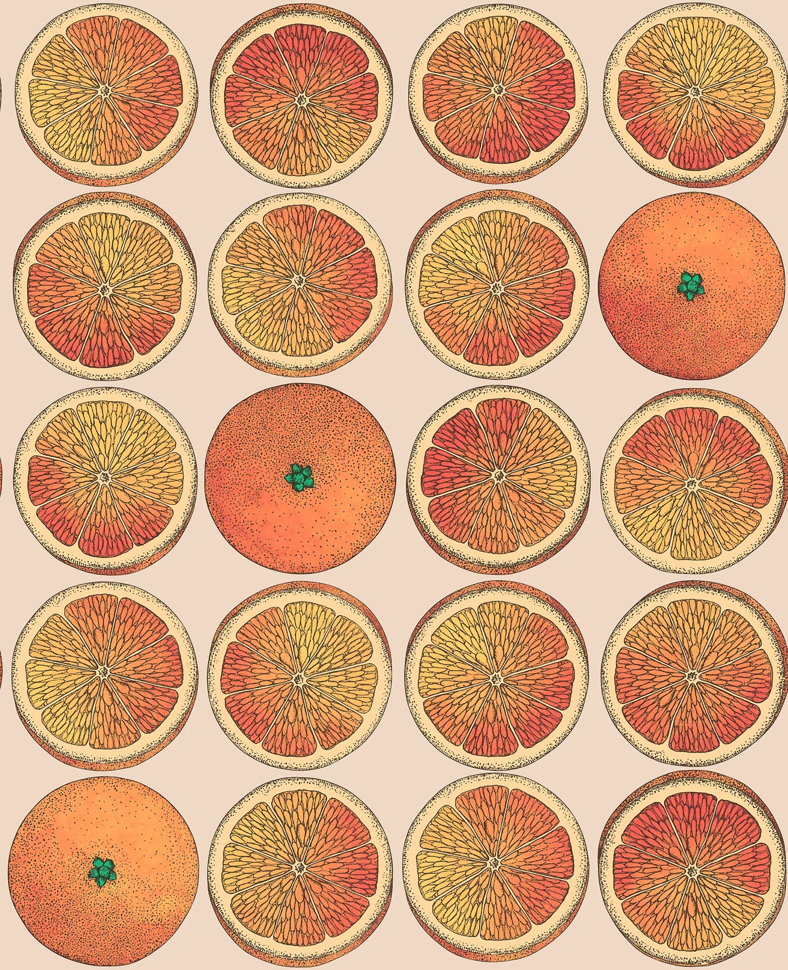 Cole & Son Fornasetti Arance, Orange & Cream