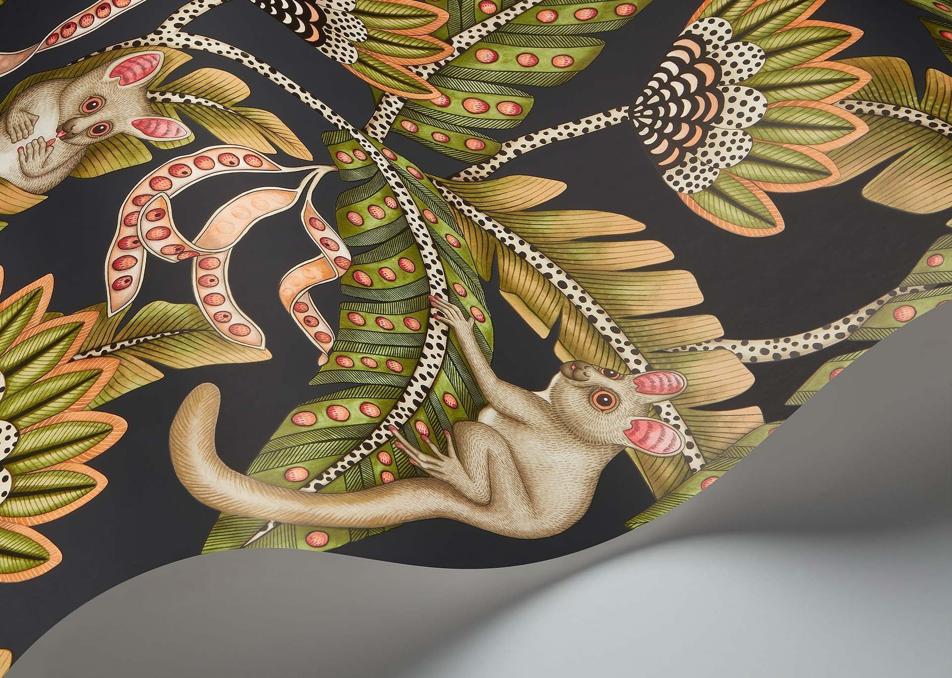 Cole & Son Ardmore Jabula.   Bush Baby, Spring Green & Orange on Black