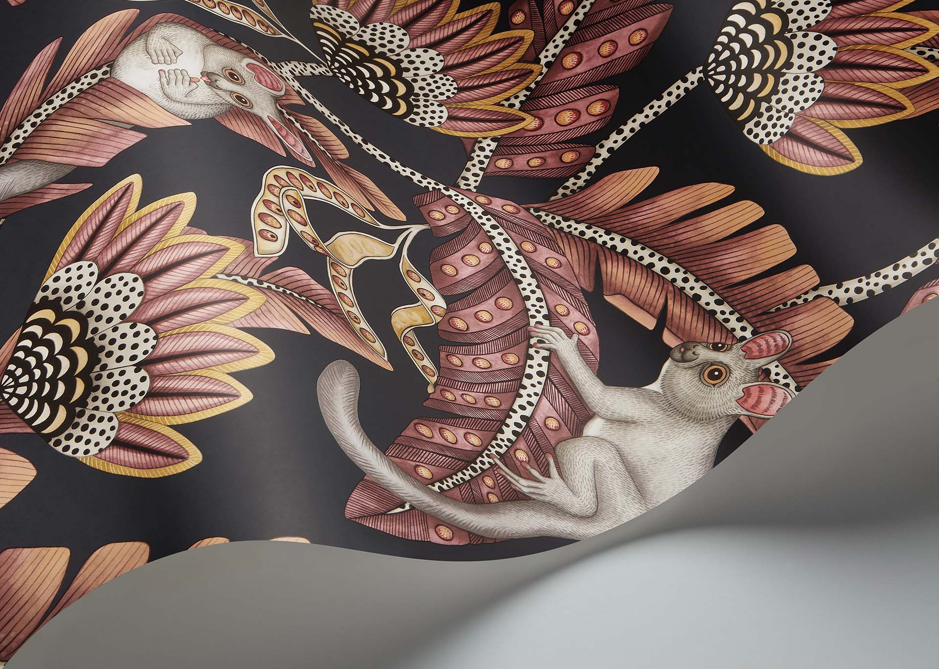 Cole & Son Ardmore Jabula.   Bush Baby, Crimson & Marigold on Charcoal