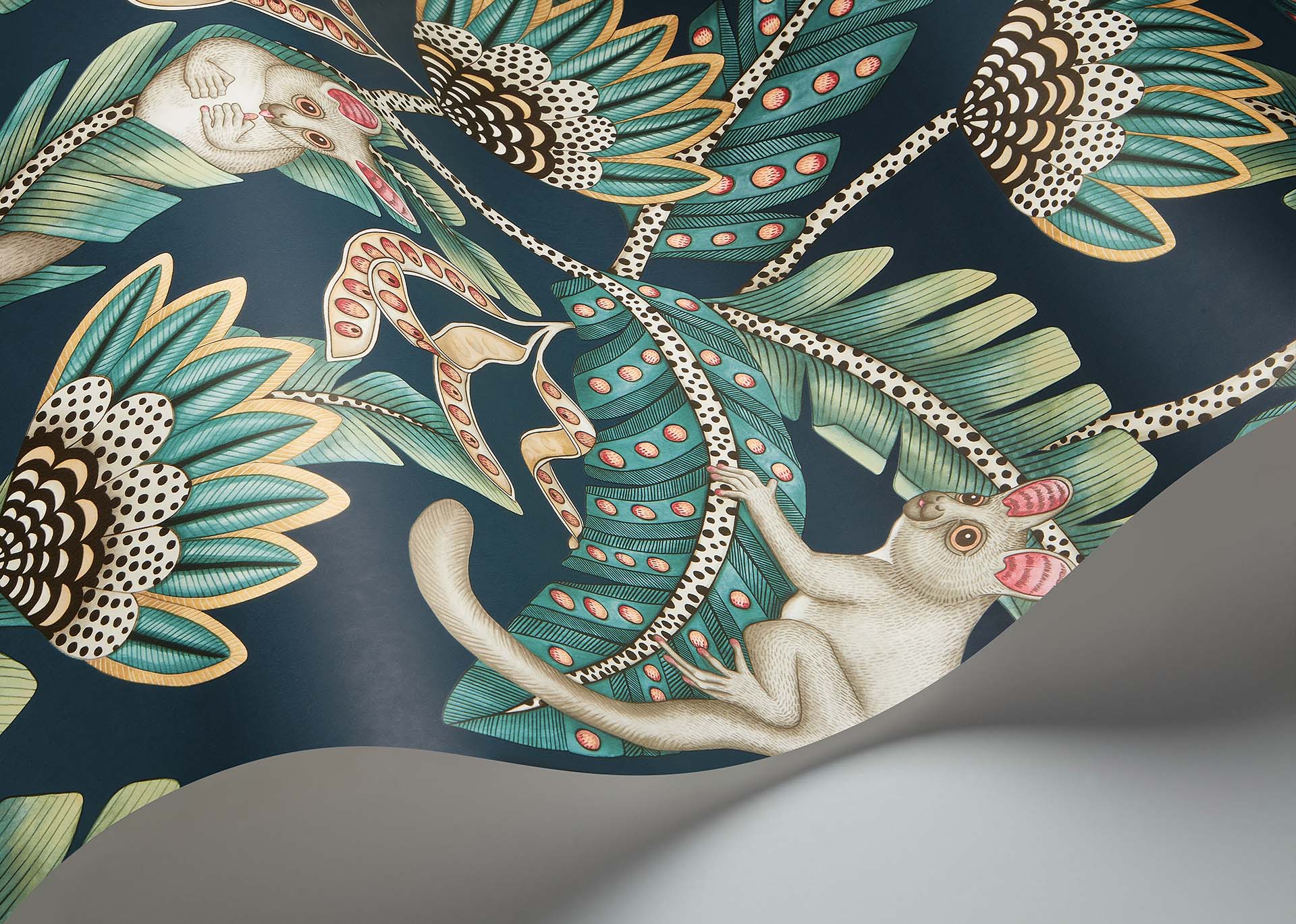 Cole & Son Ardmore Jabula.   Bush Baby, Teal & Ochre on Ink