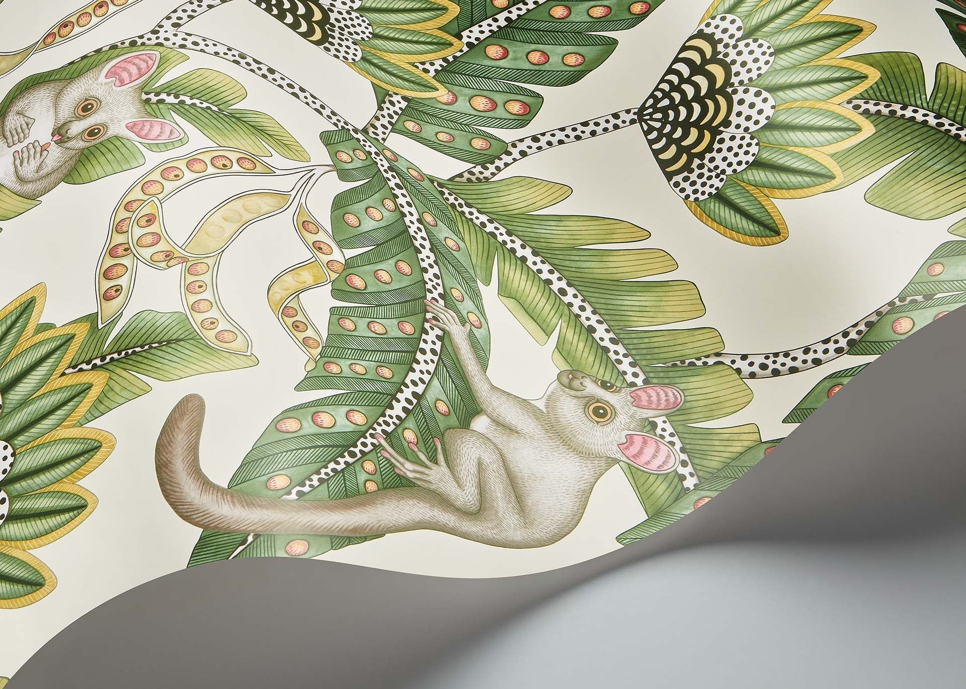 Cole & Son Ardmore Jabula.   Bush Baby, Sage & Chartreuse on Parchment