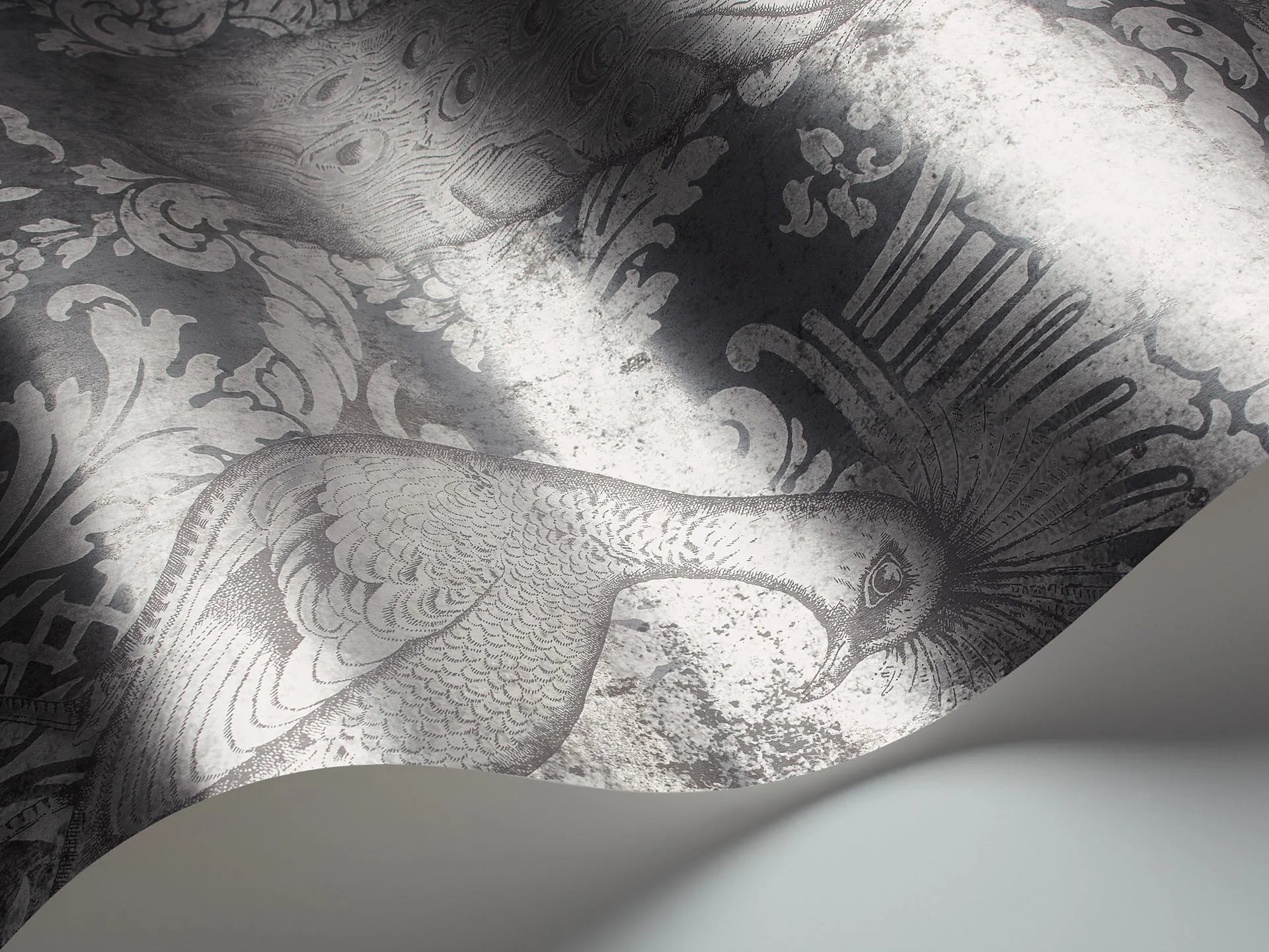 Cole & Son, Albemarie, Byron, Metallic Silver on Charcoal Foil