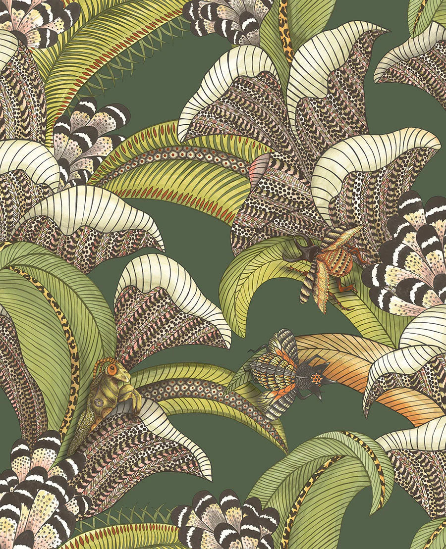 Cole & Son Ardmore Jabula .Hoopoe Leaves     Spring Green, Chartreuse & Coral on Forest