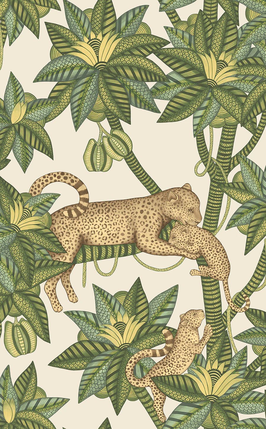 Cole & Son Ardmore Jabula .  Satara,  Spring Green & Sand on Linen