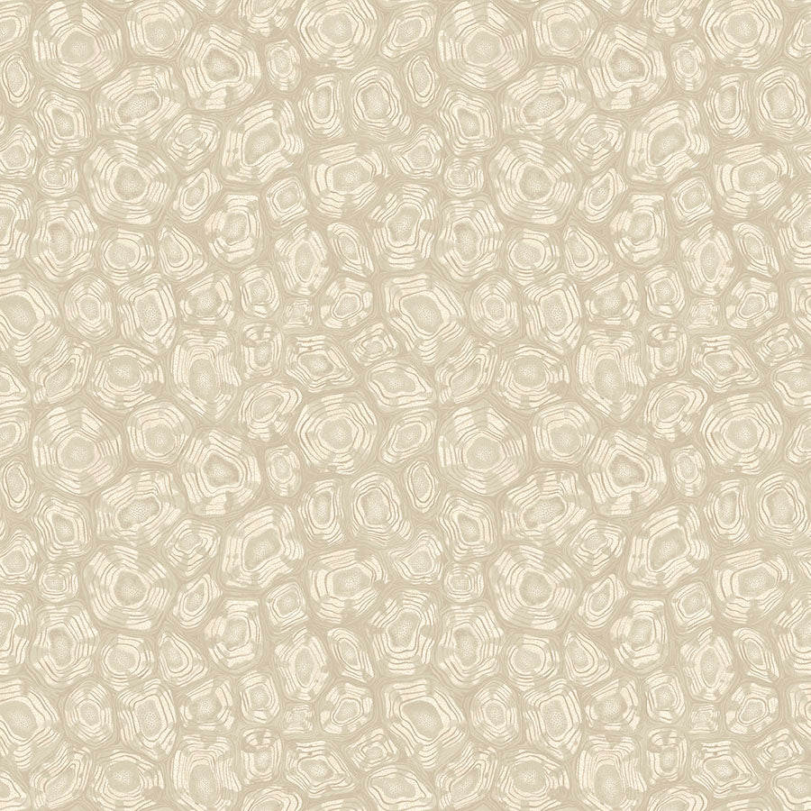 Cole & Son Ardmore Jabula . Savanna Shell,  Parchment, Linen & Metallic Gilver