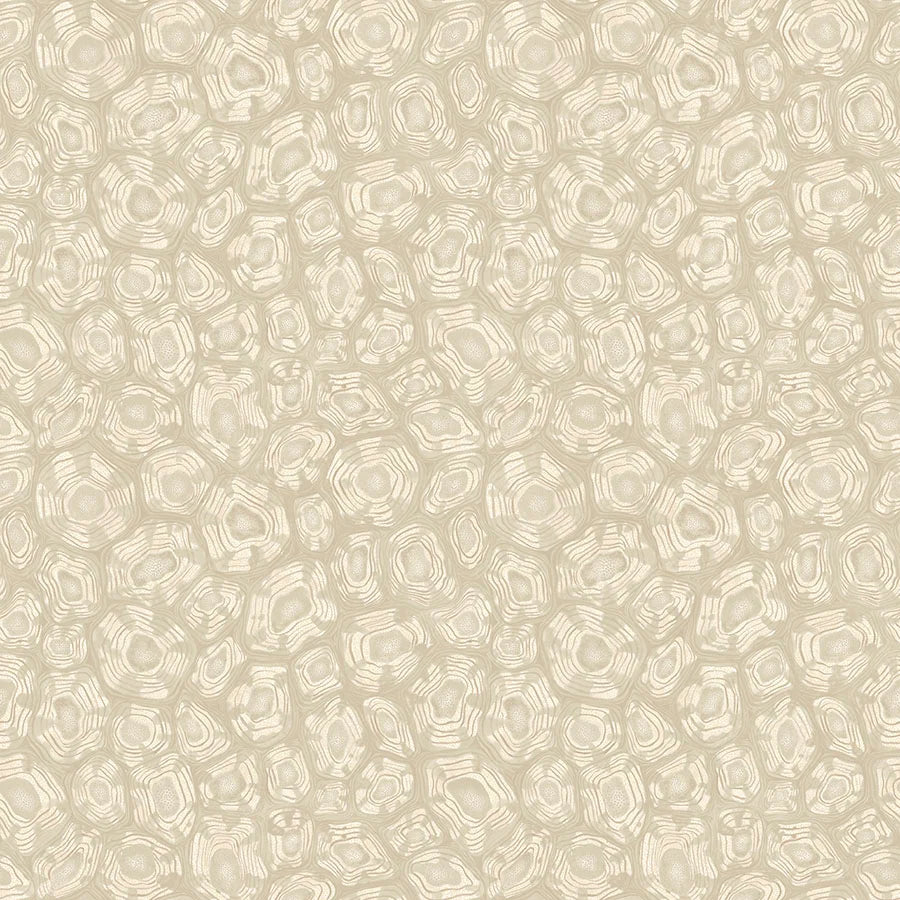 Cole & Son Jabula Savanna Shell, Parchment, Linen & Metallic Silver