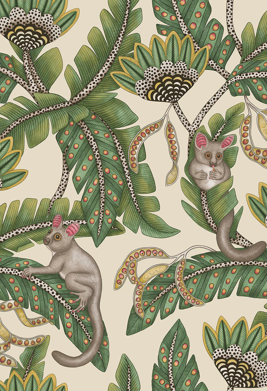 Cole & Son Ardmore Jabula.   Bush Baby, Sage & Chartreuse on Parchment