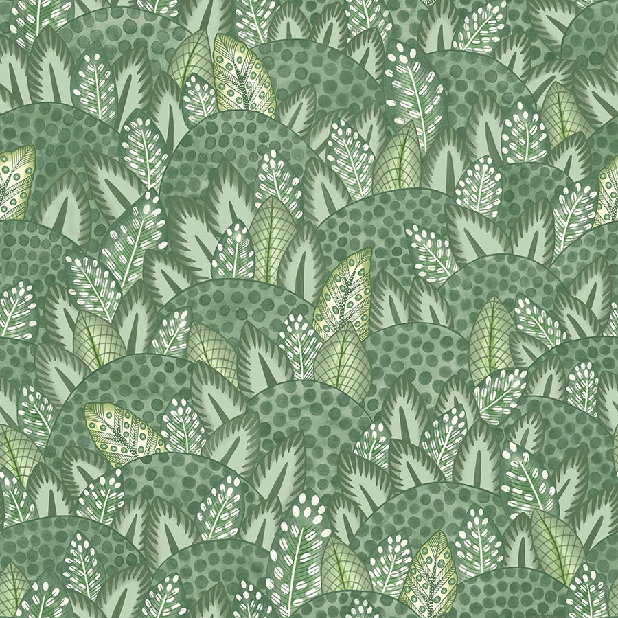 Cole & Son Ardmore Jabula. Forest Green & Olive Green
