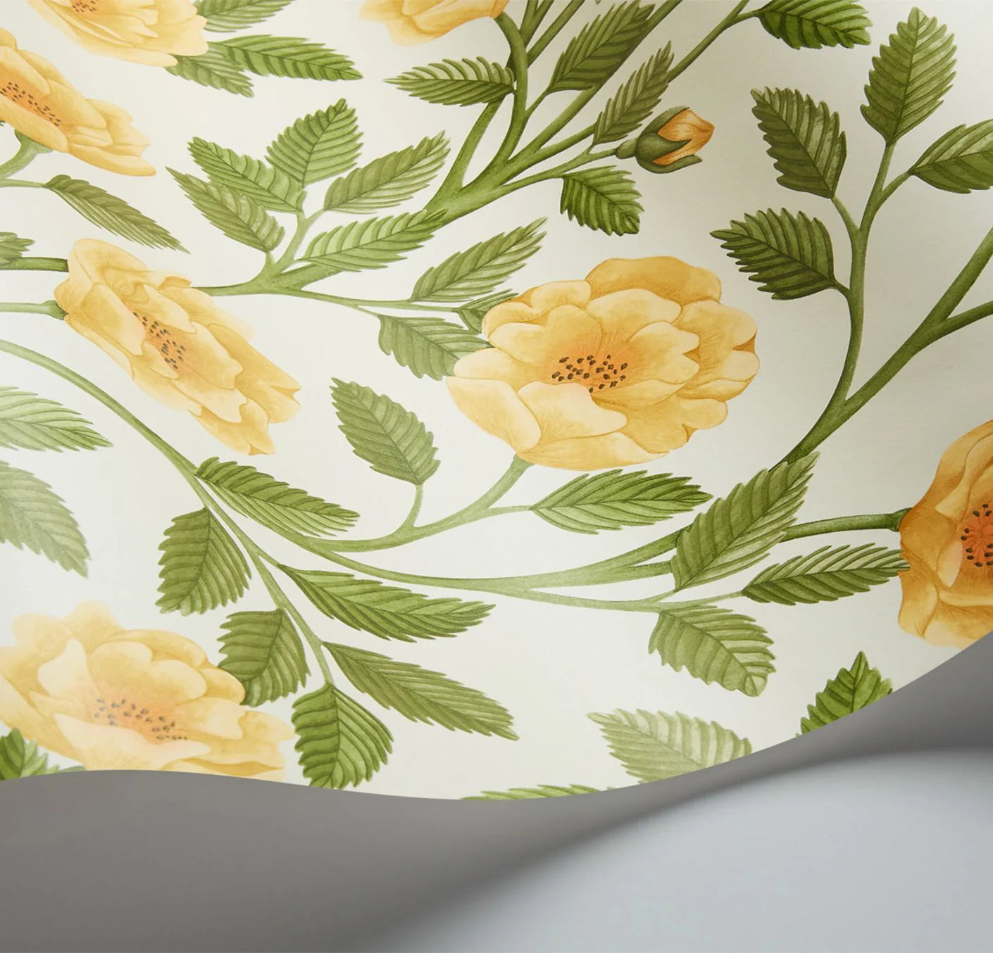 Cole & Son Historic Royal Palaces Hampton Roses, Marigold & Olive Green on White