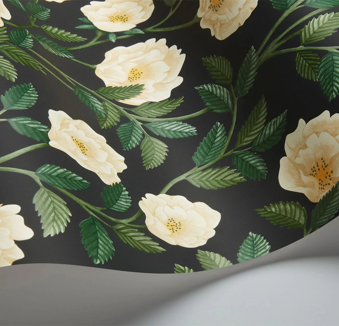 Cole & Son Historic Royal Palaces Hampton Roses, Cream & Forest Green on Charcoal