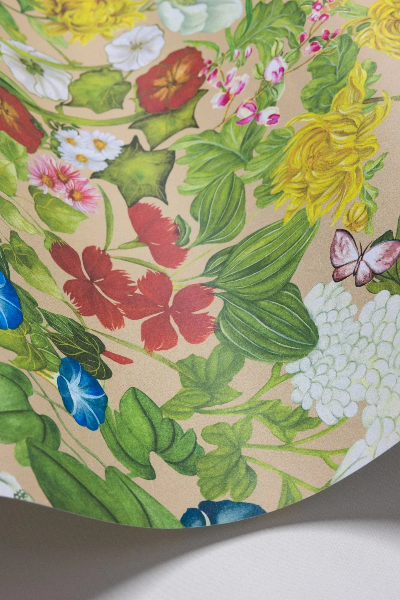 Cole & Son Shinrin Yoku , Provincie Flora, Taupe