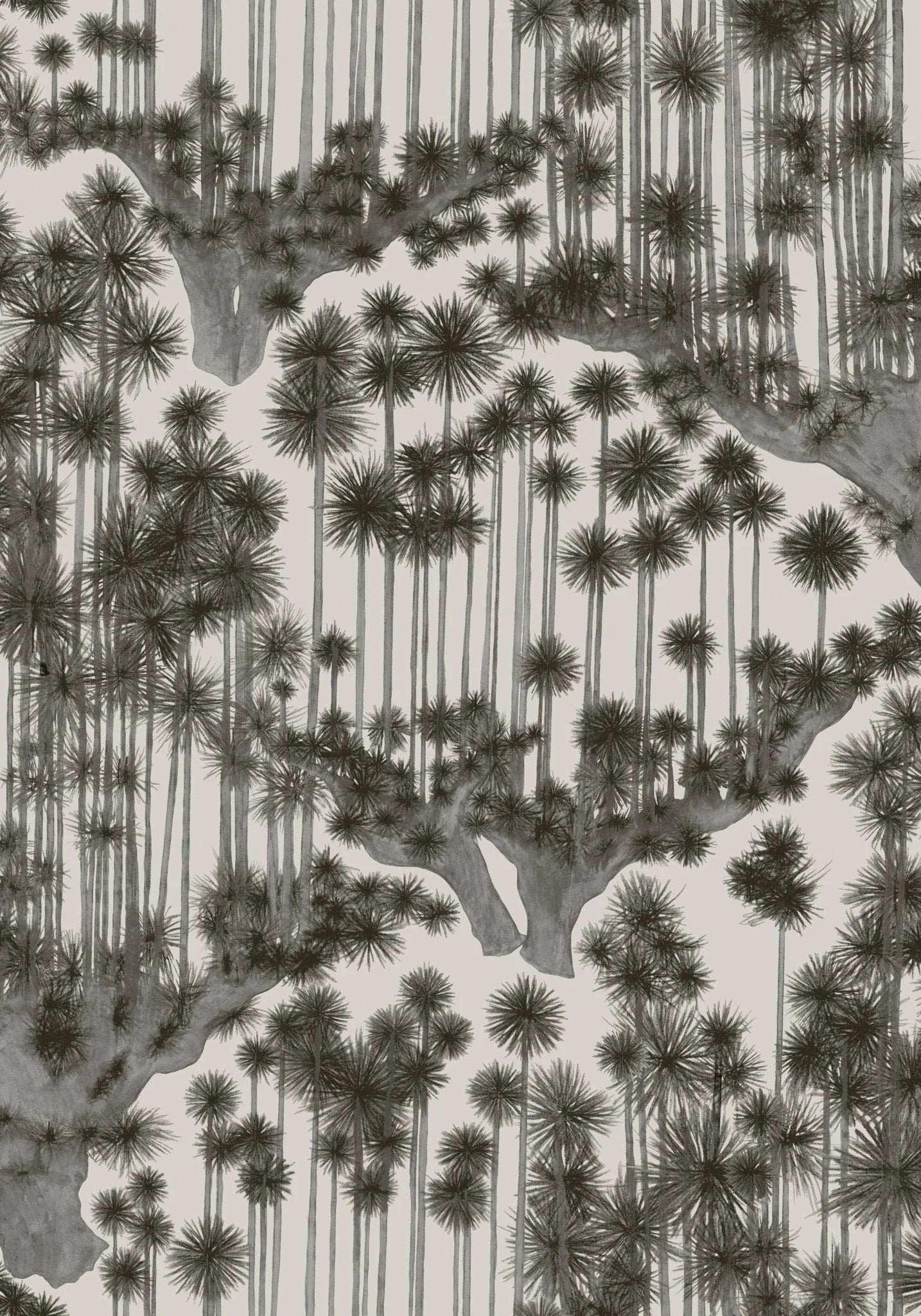 Cole & Son Shinrin Yoku , Japanese Woods, Charcoal