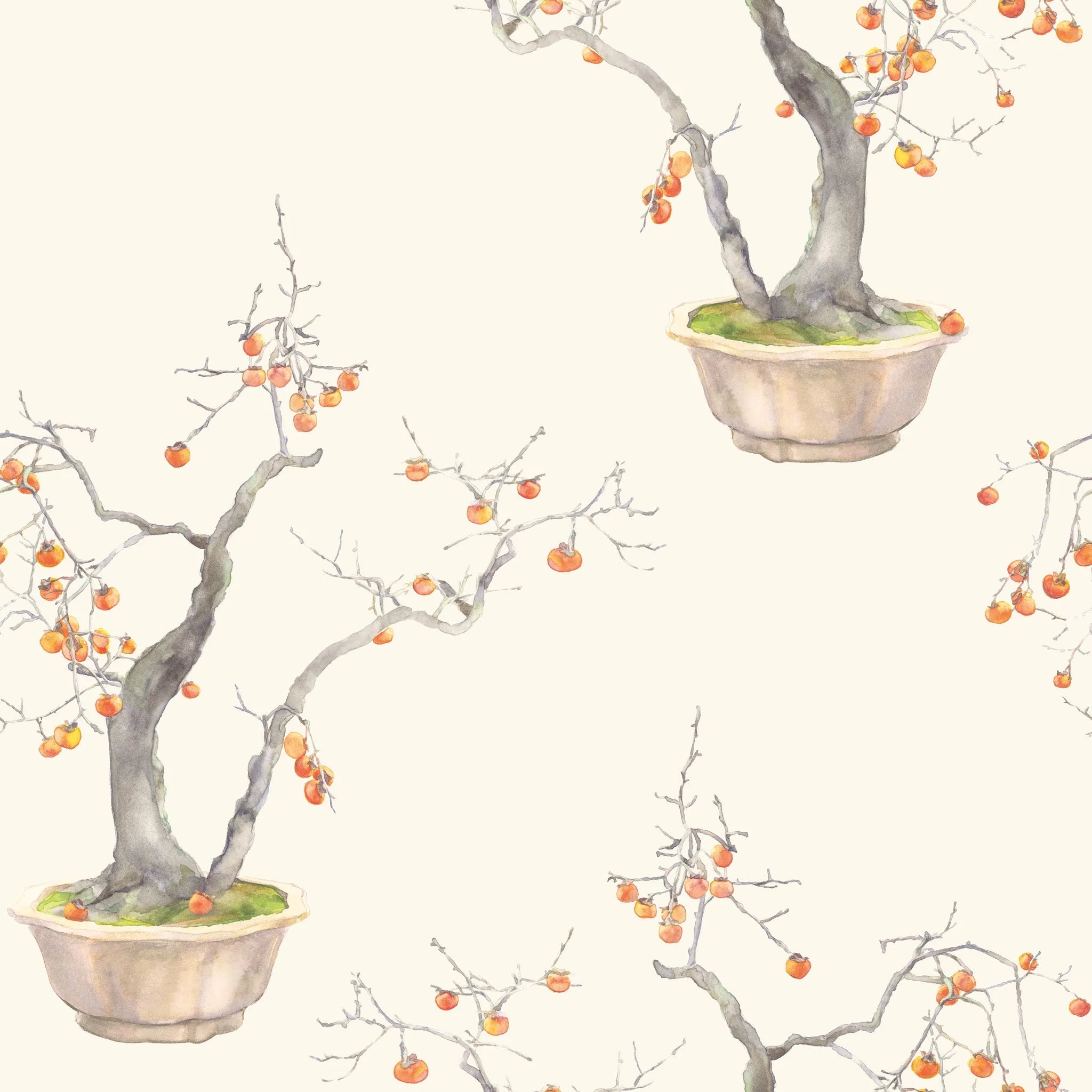 Cole & Son Shinrin Yoku , Kaki Persimmon, Ivory & Bergamot