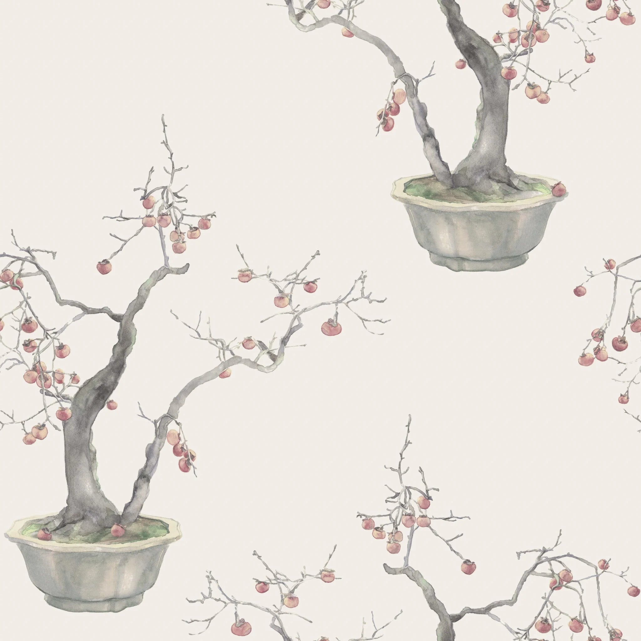 Cole & Son Shinrin Yoku , Kaki Persimmon, Silver