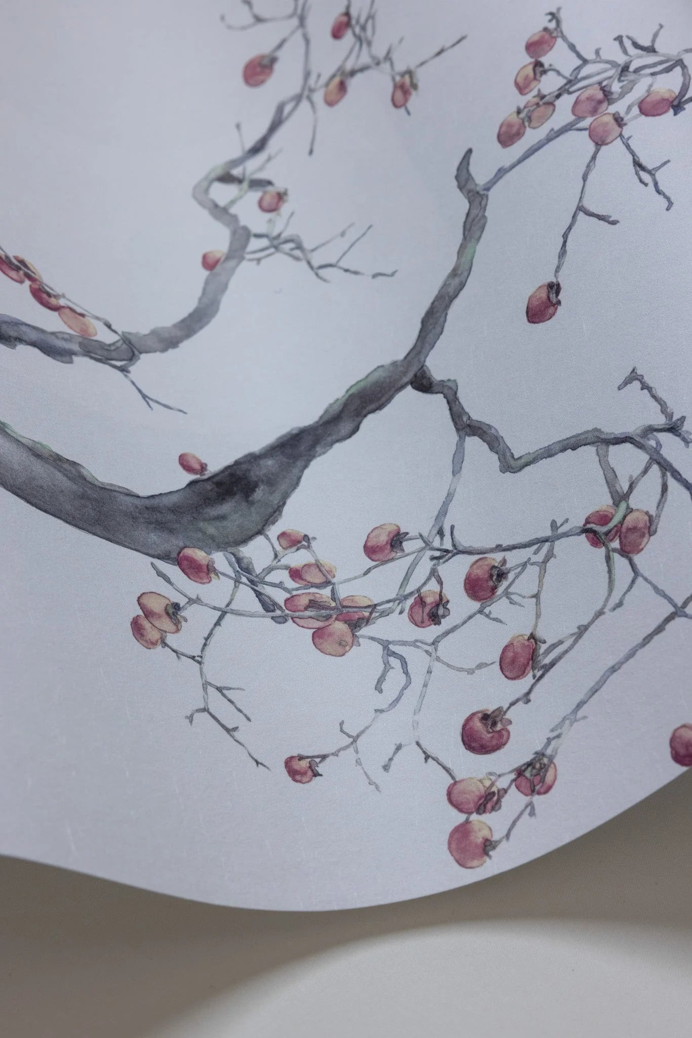 Cole & Son Shinrin Yoku , Kaki Persimmon, Silver